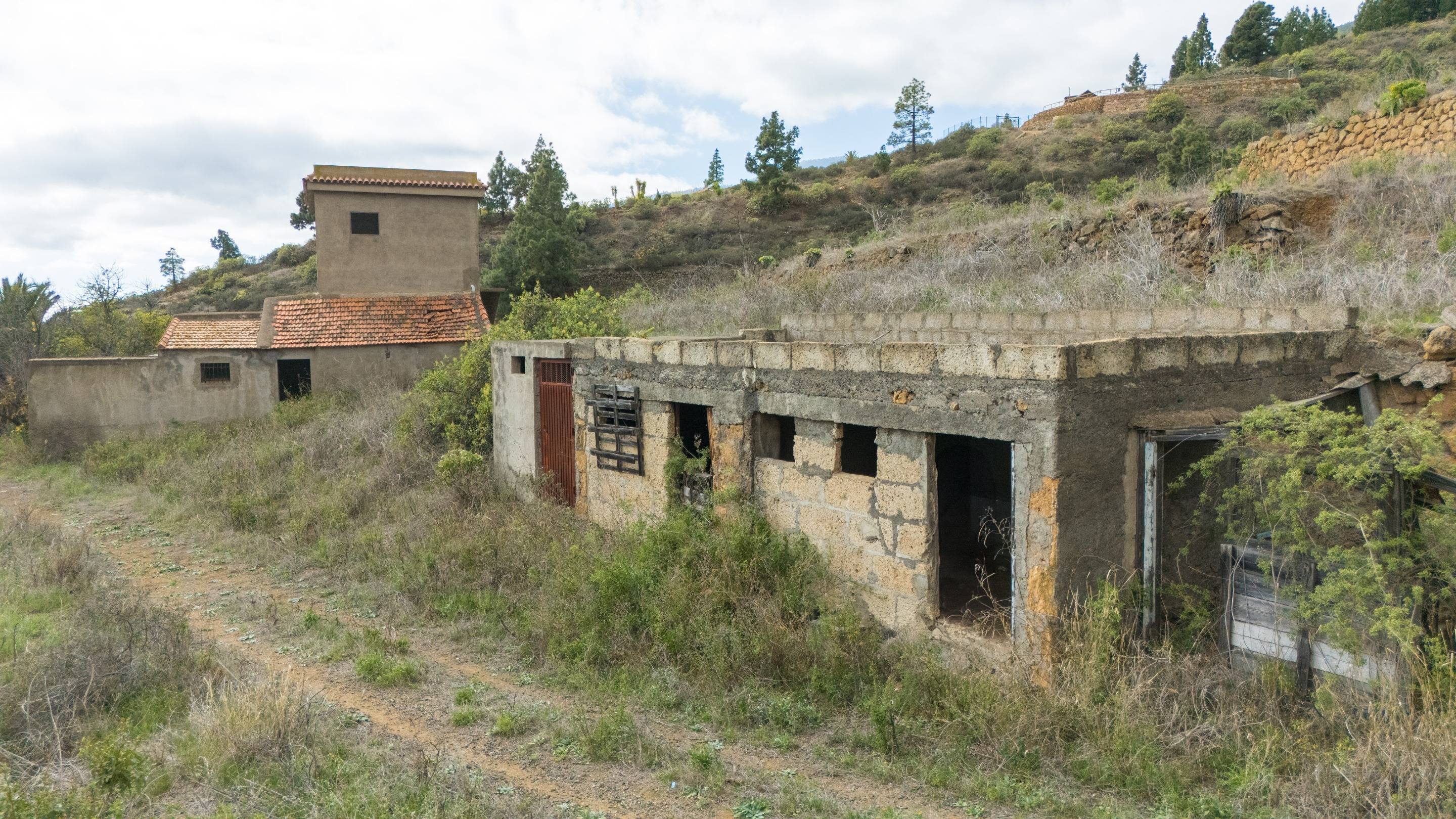 Fincas y solares-Venta-Arafo-1713155-Foto-27