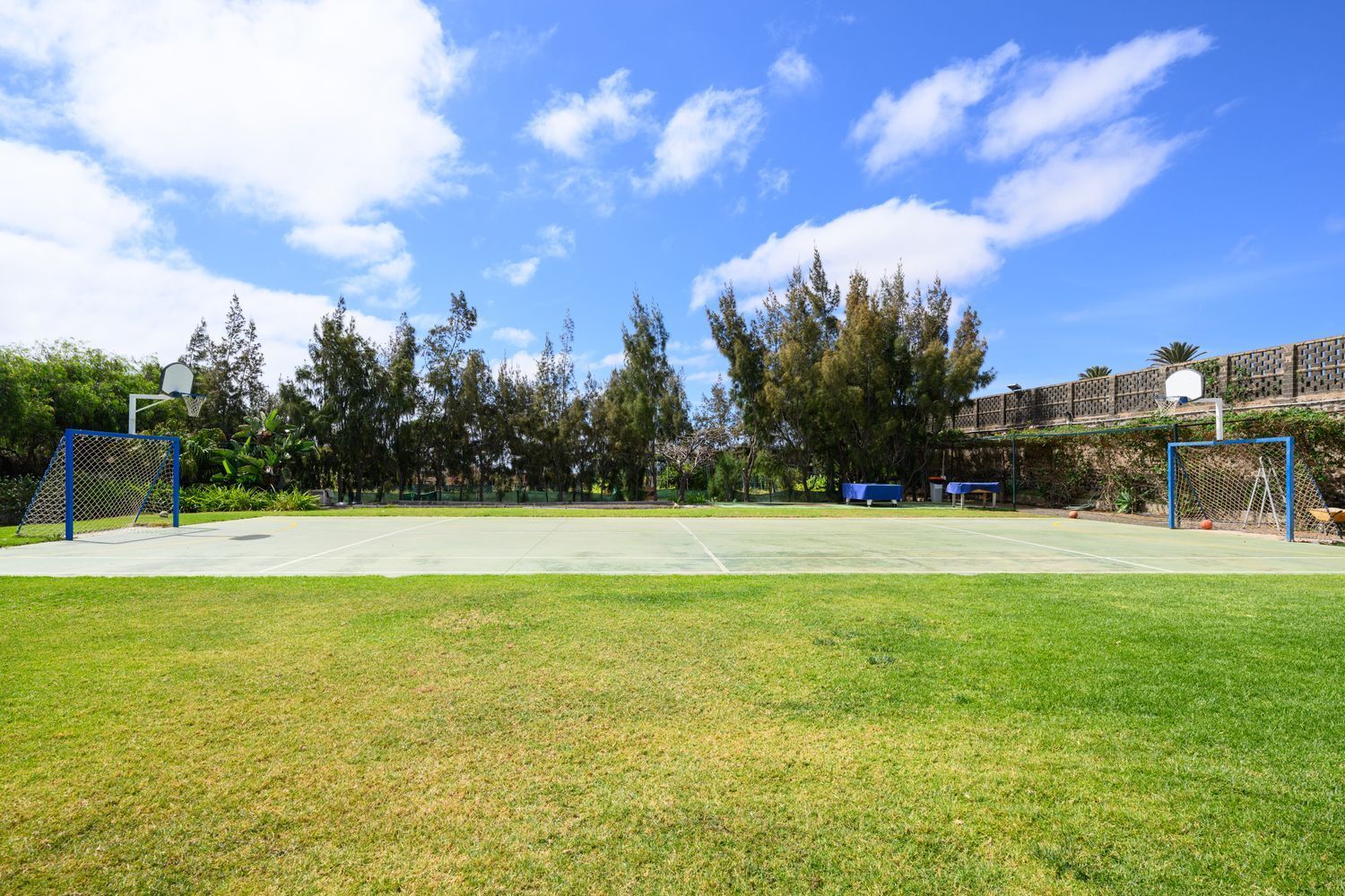 Casas o chalets-Venta-Telde-1713309-Foto-6