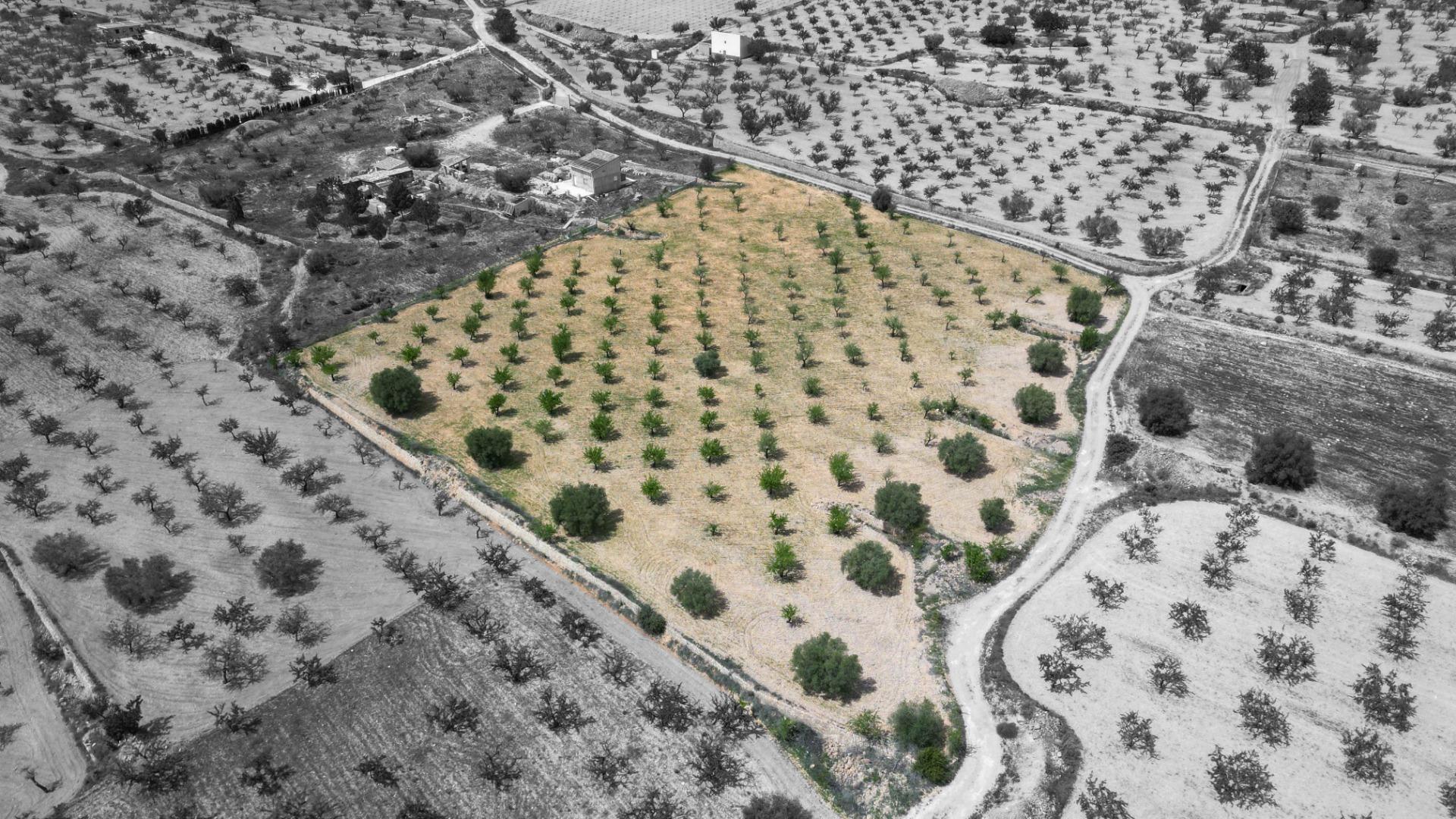 Fincas y solares-Venta-La Romana-1716996
