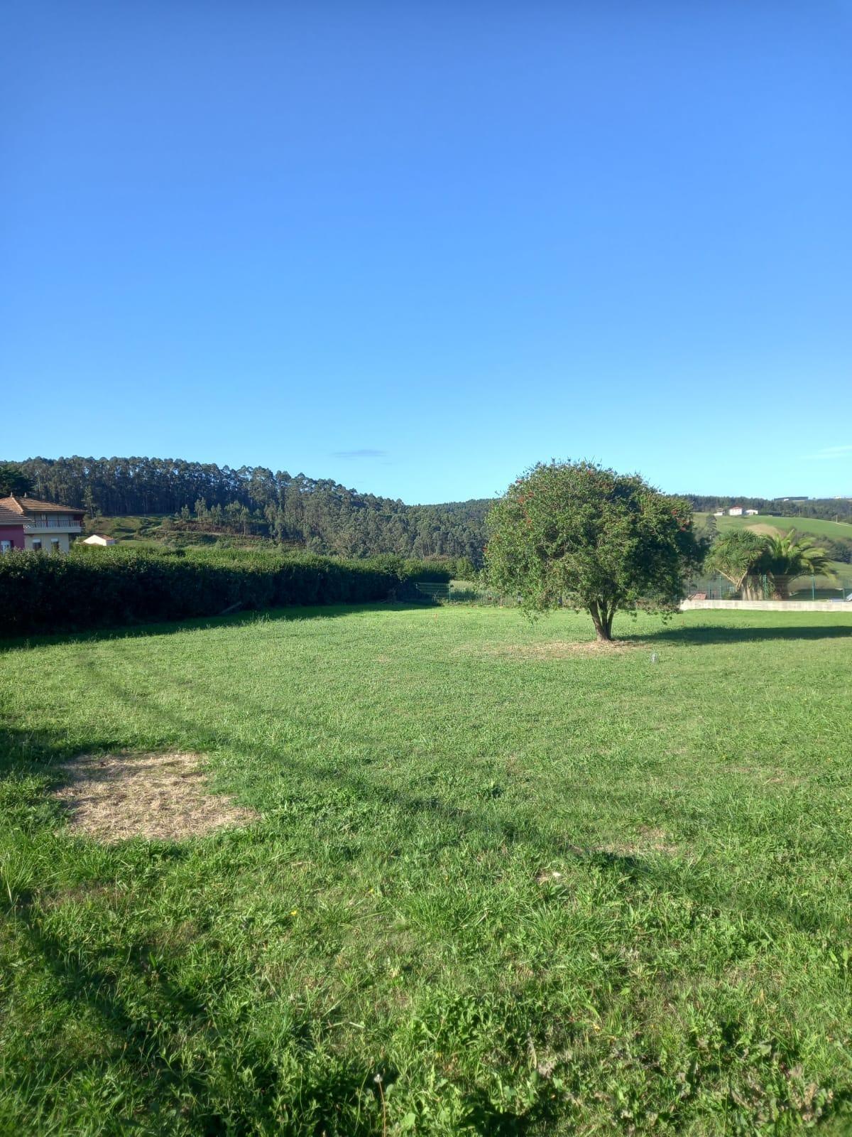 Fincas y solares-Venta-GozÃ³n-1717652-Foto-4