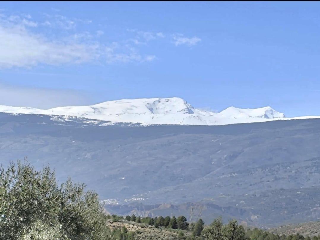 Casas o chalets-Venta-Alcolea-1102094-Foto-3