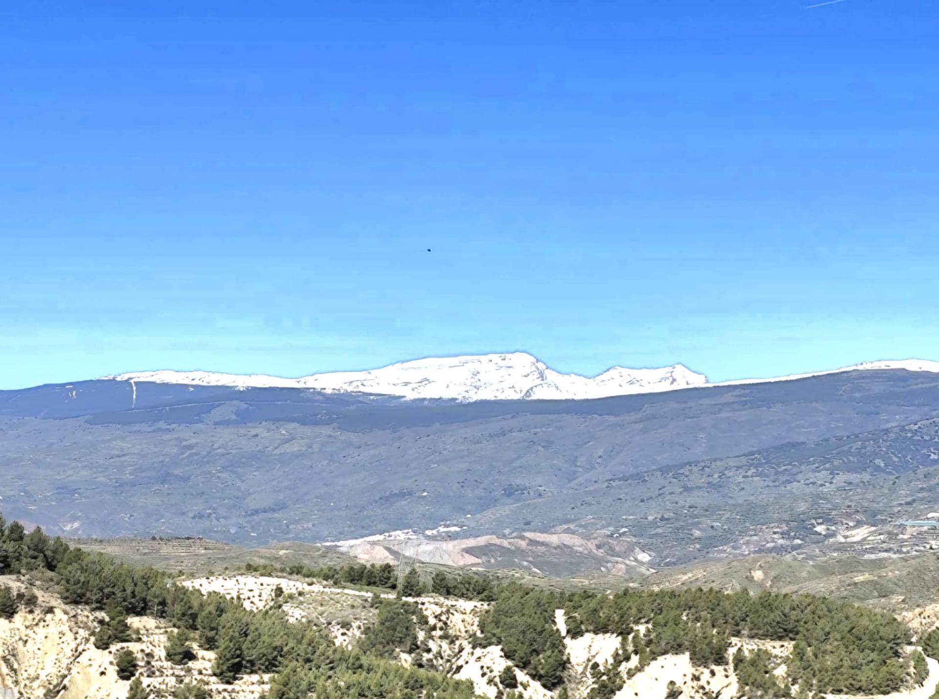 Casas o chalets-Venta-Alcolea-1102094-Foto-2