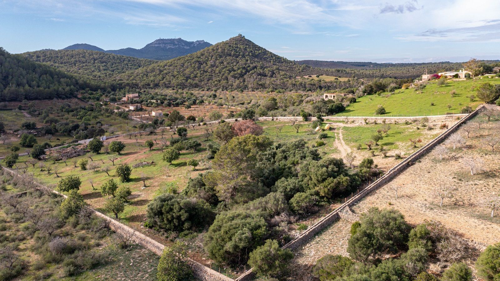 Fincas y solares-Venta-Manacor-804285-Foto-7