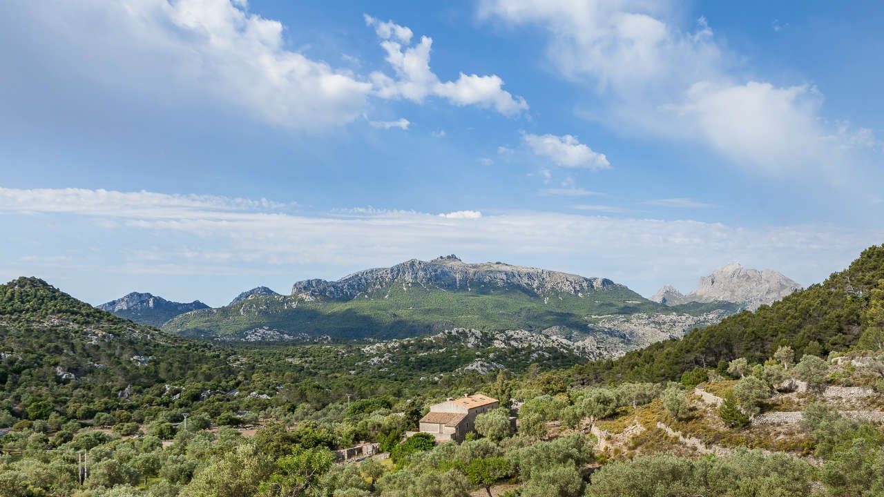 Casas o chalets-Venta-Escorca-988639-Foto-35