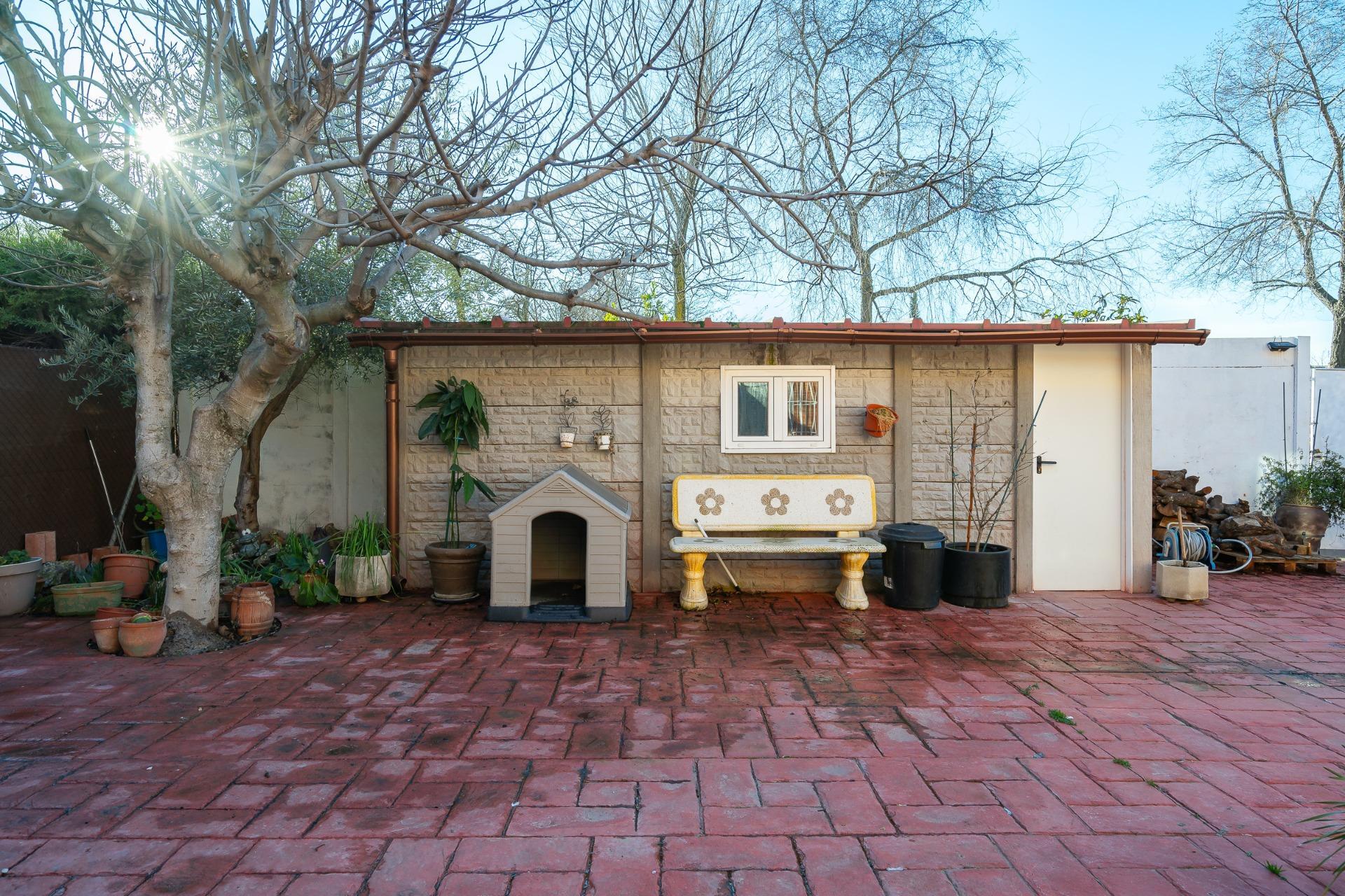 Casas o chalets-Venta-Rivas-Vaciamadrid-1634654-Foto-26