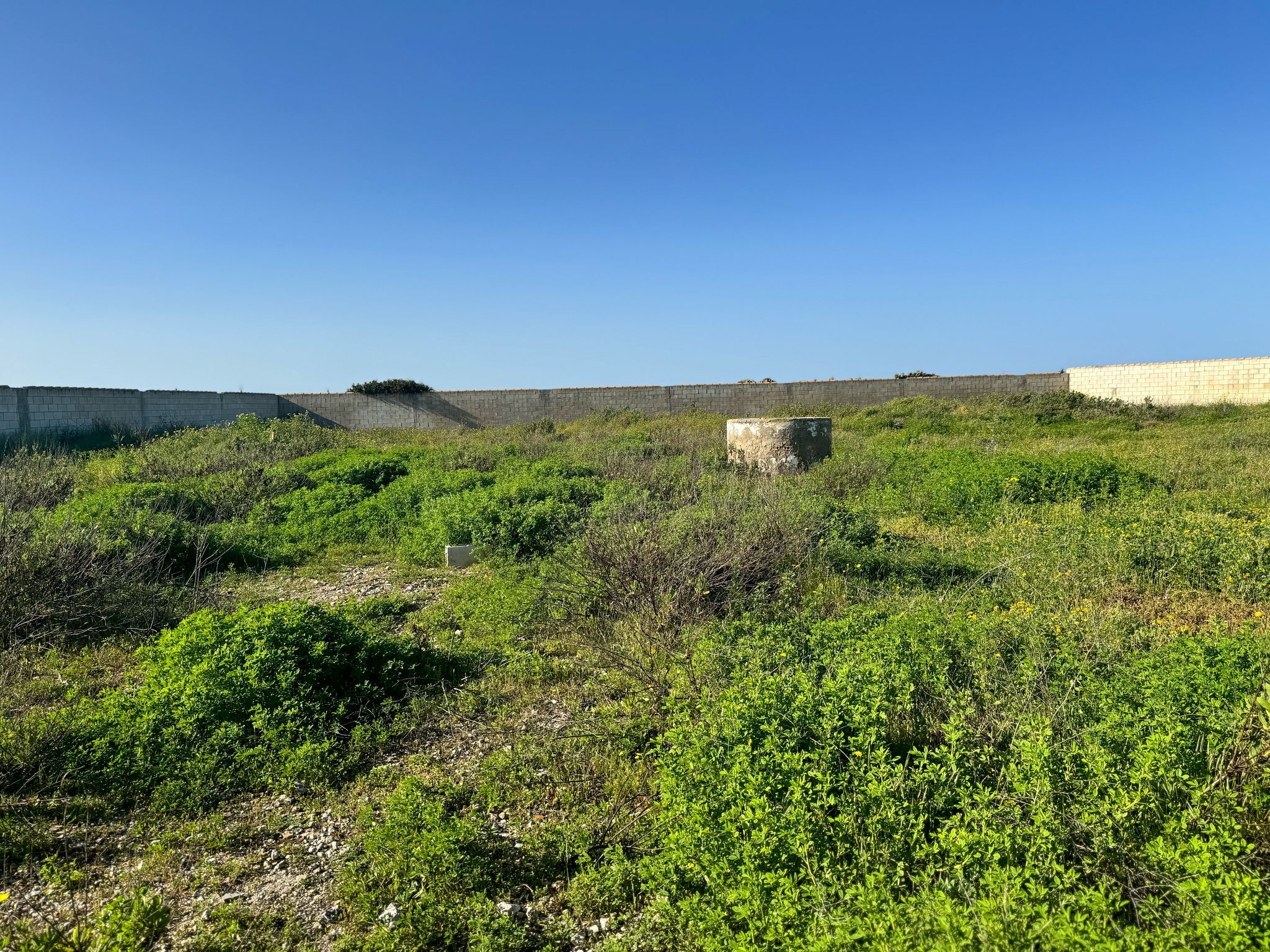 Fincas y solares-Venta-Chiclana de la Frontera-1718677-Foto-18