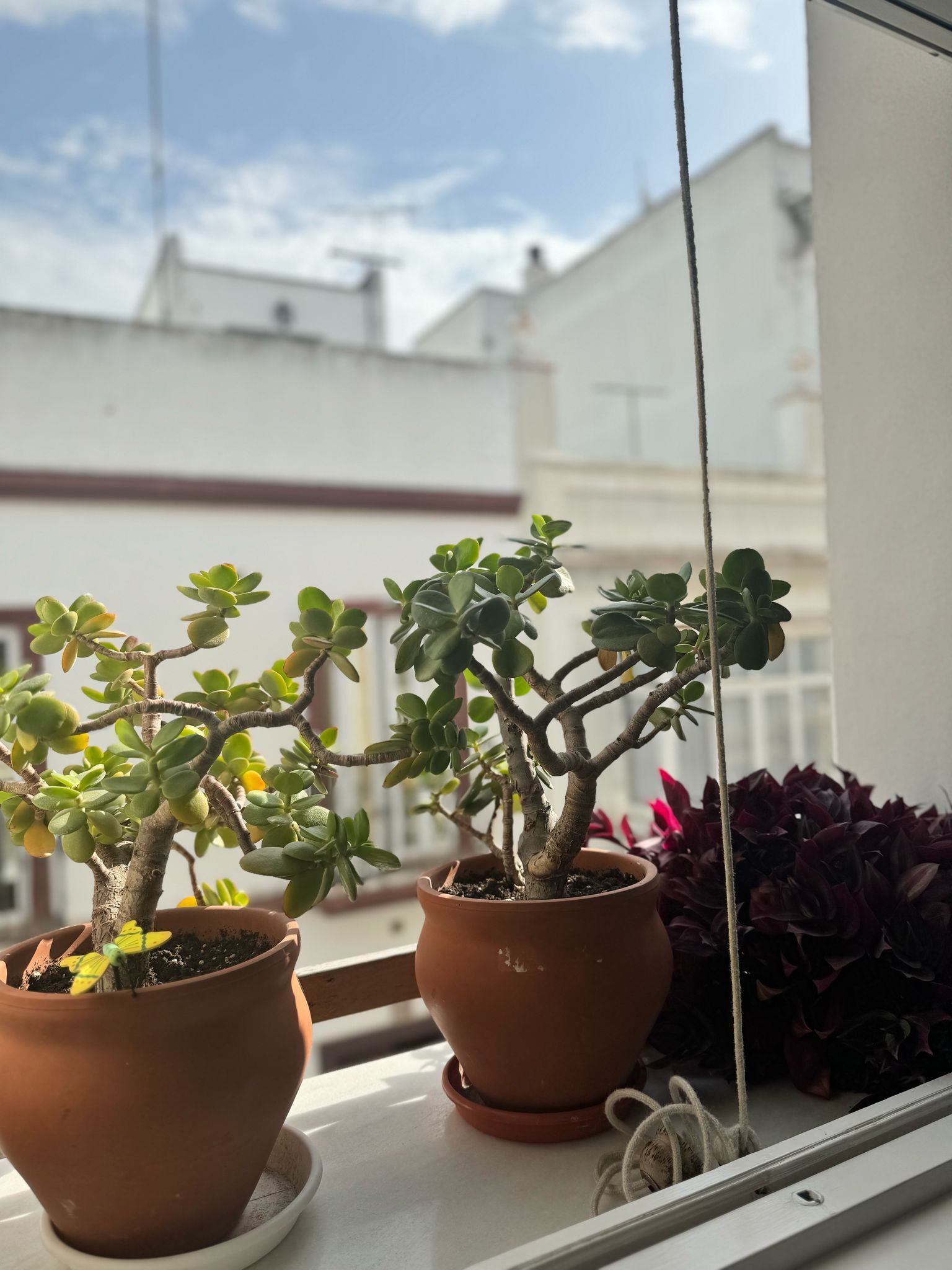 Pisos-Venta-San Fernando-1711239-Foto-32