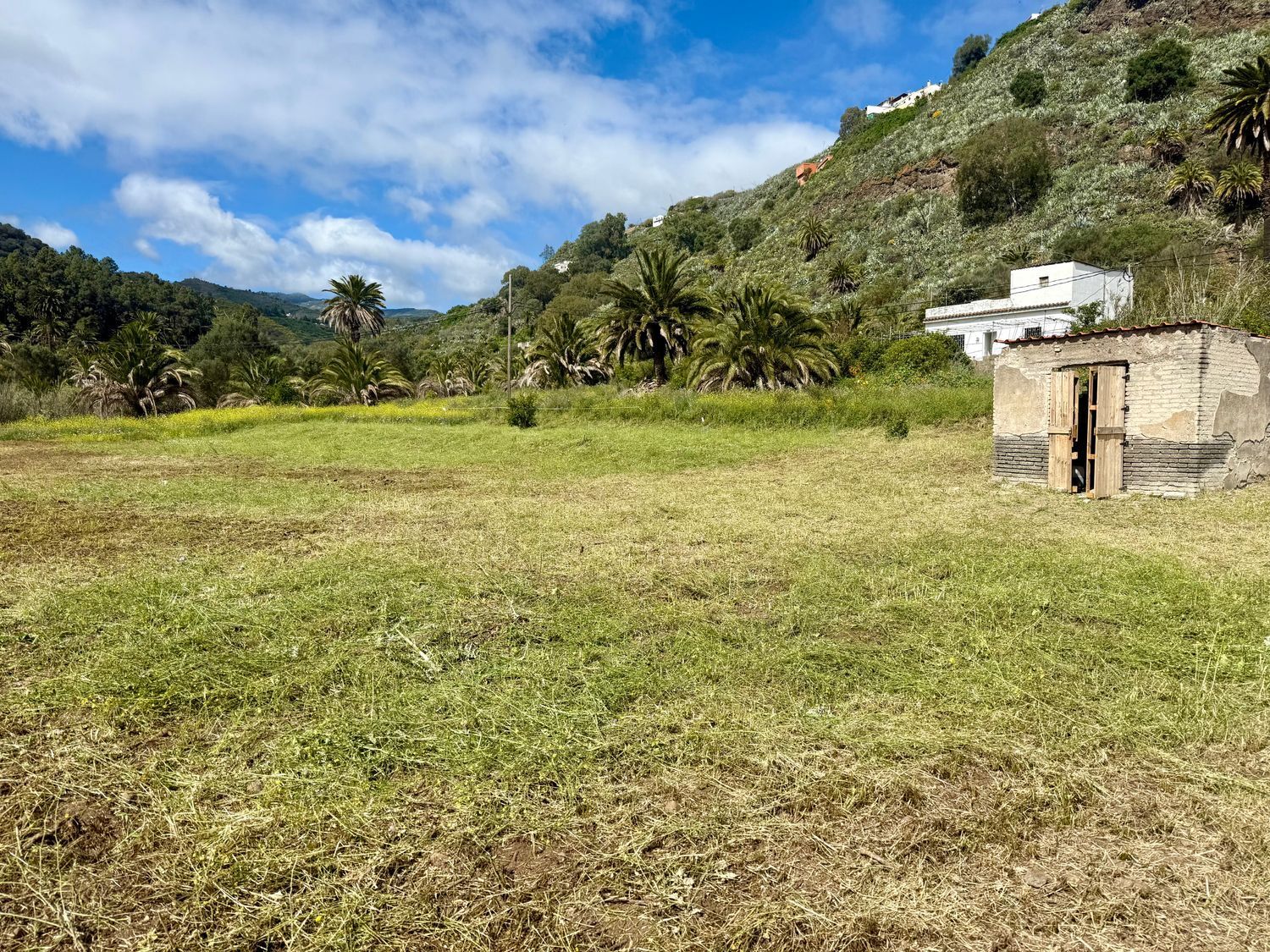 Pisos-Venta-Santa BrÃ­gida-1718750-Foto-5