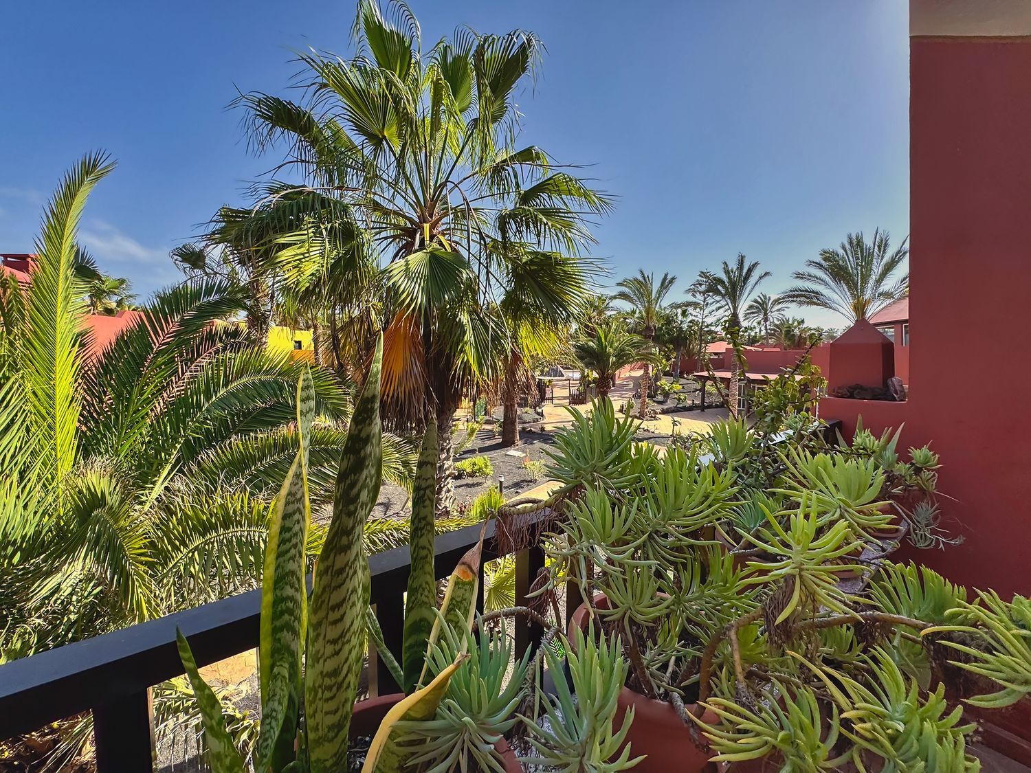 Pisos-Venta-La Oliva-1718735-Foto-10