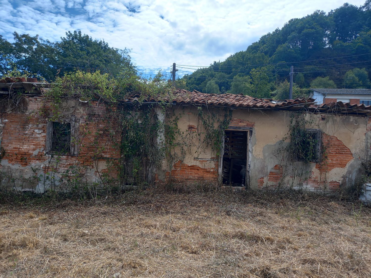Casas o chalets-Venta-PiloÃ±a-925013-Foto-5
