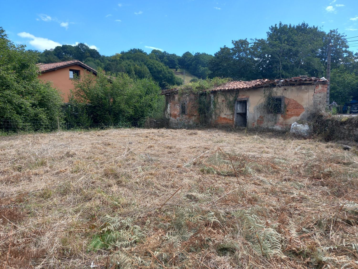 Casas o chalets-Venta-PiloÃ±a-925013-Foto-4