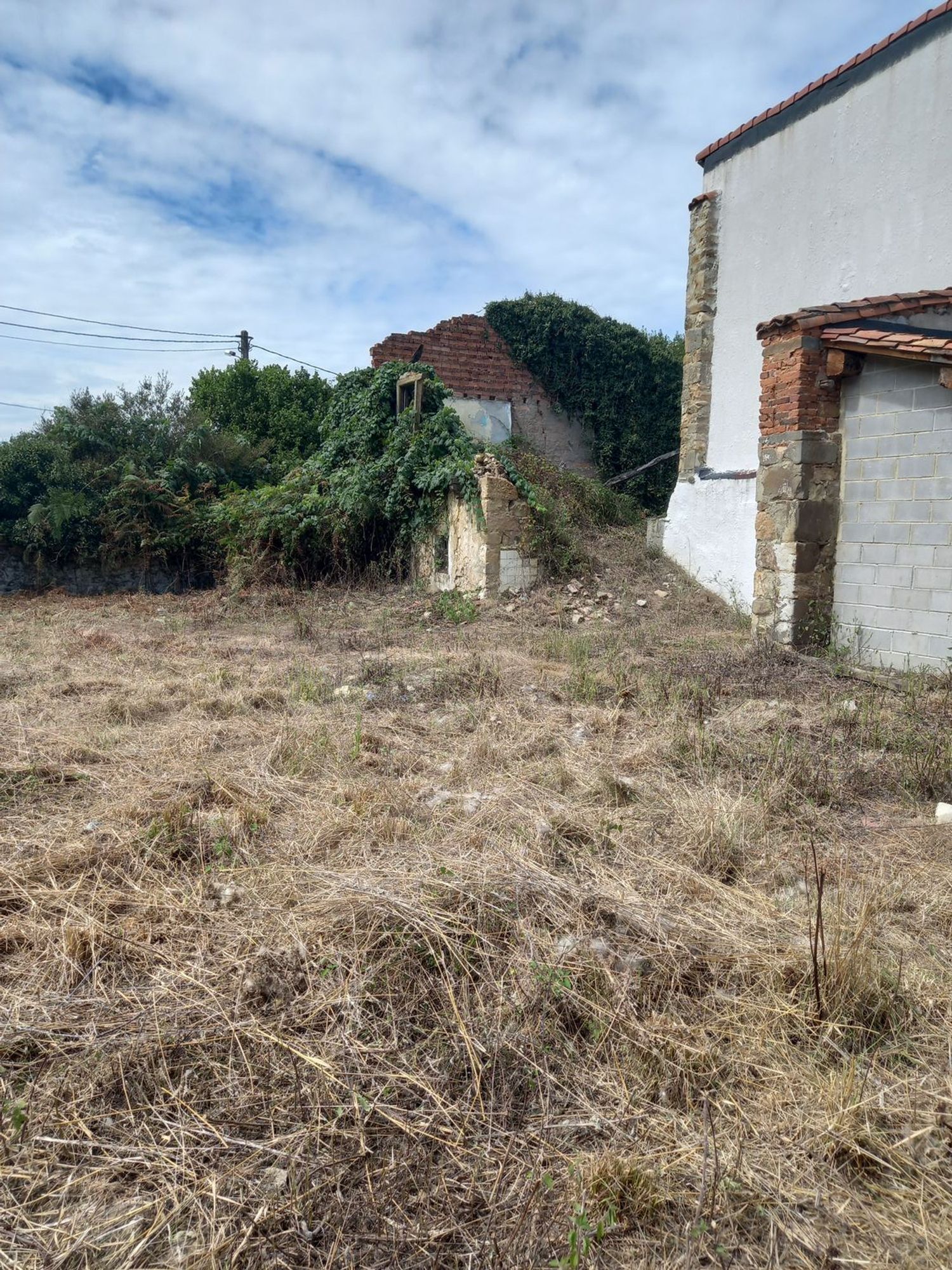 Casas o chalets-Venta-PiloÃ±a-925013-Foto-14
