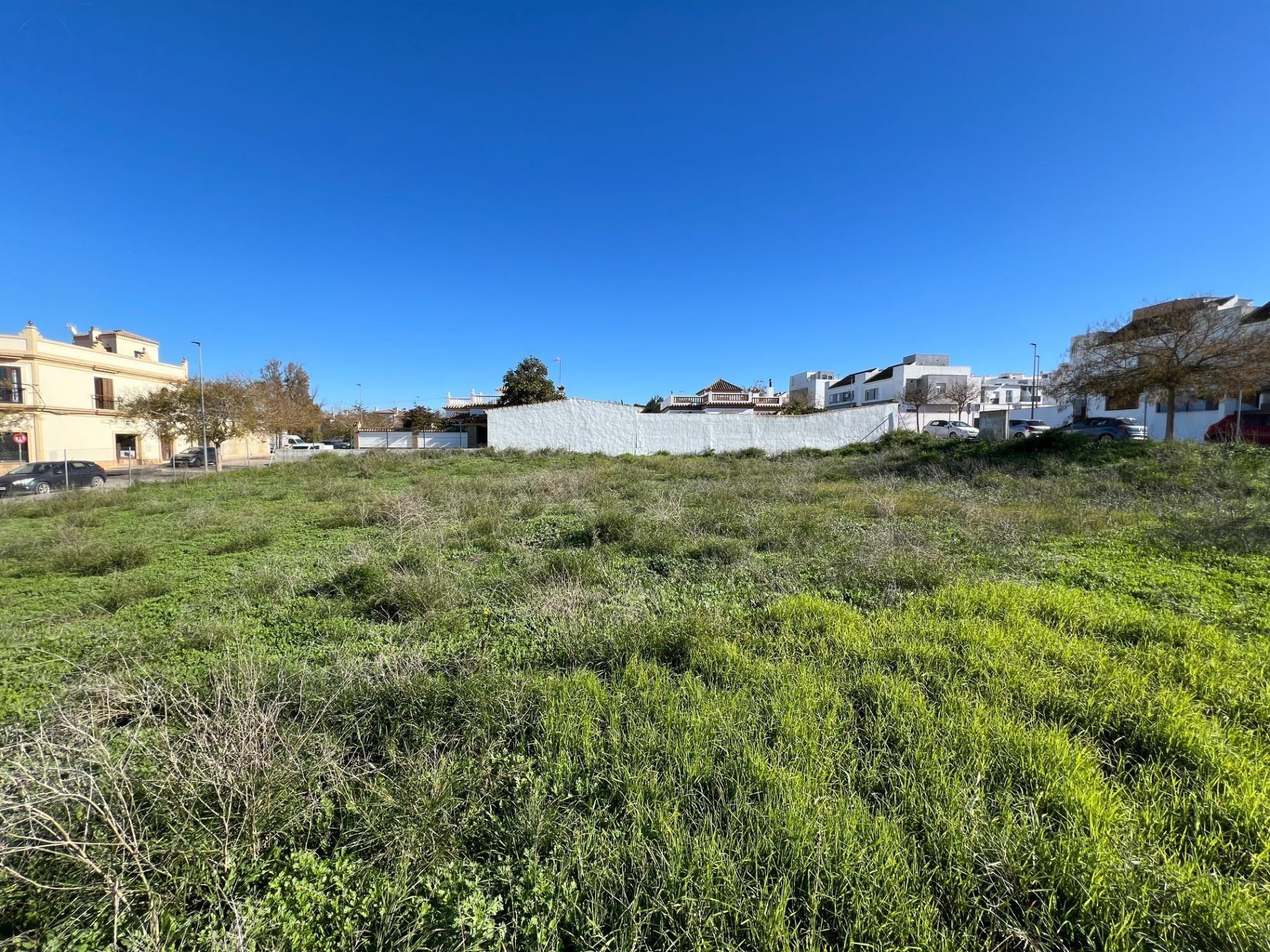 Fincas y solares-Venta-Chiclana de la Frontera-1683054-Foto-4