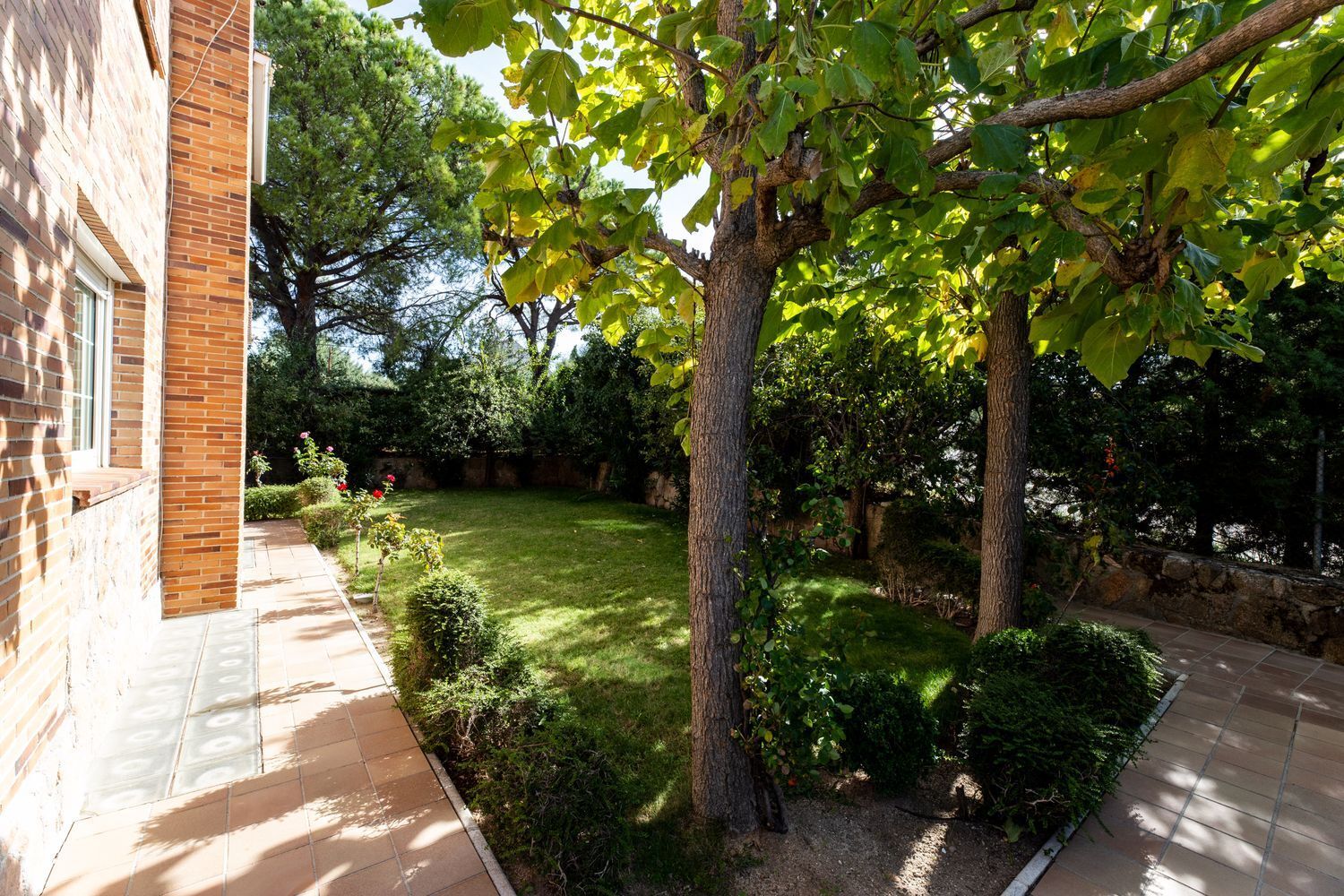 Casas o chalets-Venta-Boadilla del Monte-1387191-Foto-9