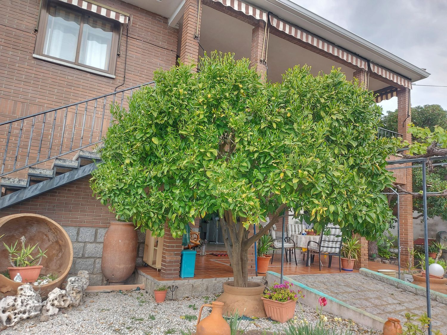 Casas o chalets-Venta-Cebreros-1720260-Foto-4