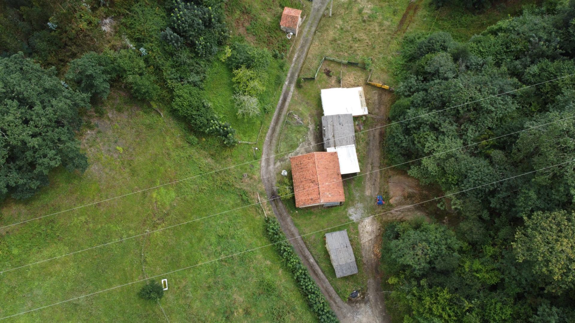 Casas o chalets-Venta-PiloÃ±a-1402245-Foto-21