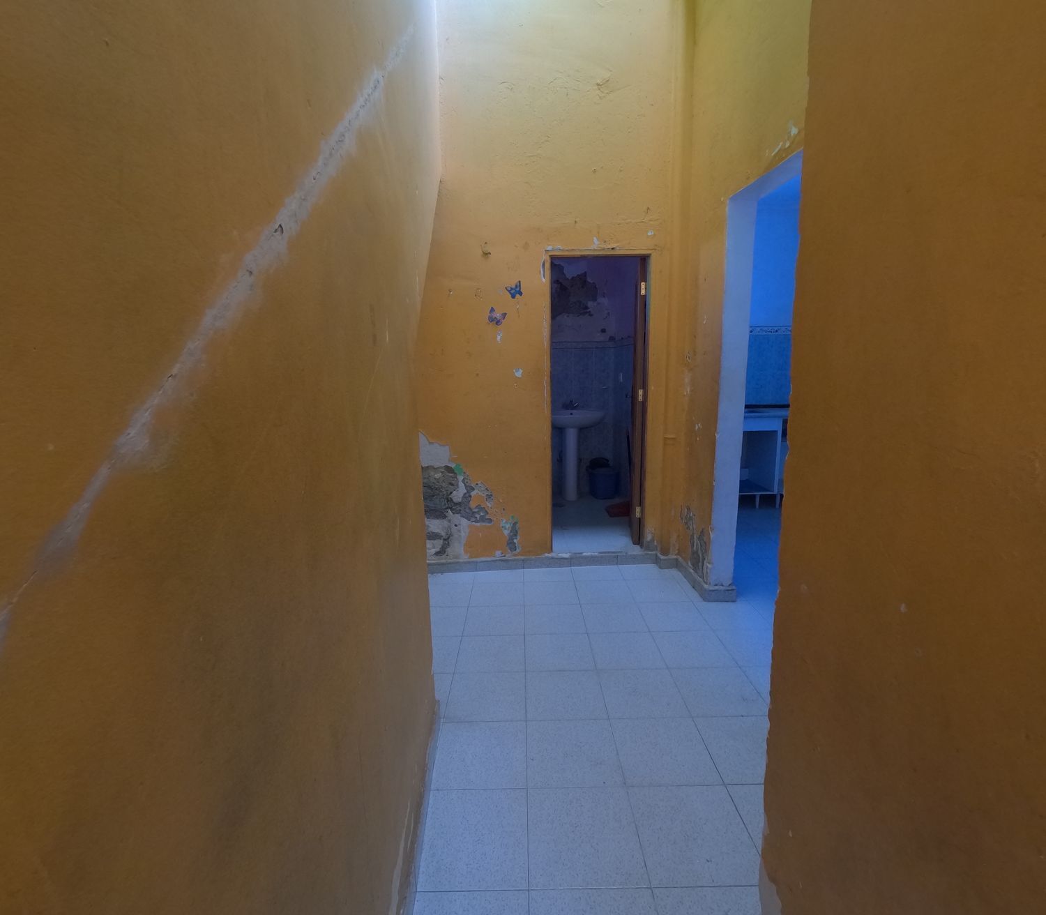 Casas o chalets-Venta-Las Palmas de Gran Canaria-1709403-Foto-15