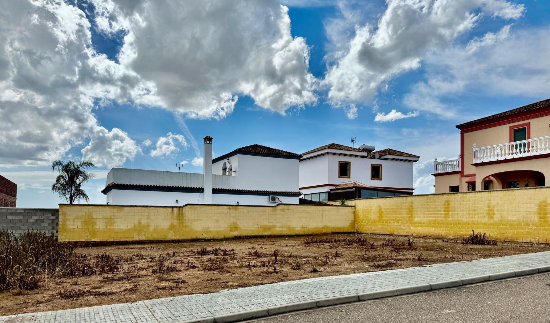 Fincas y solares-Venta-Cantillana-1681104