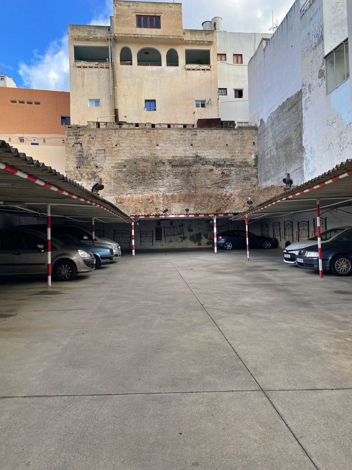 Fincas y solares-Venta-Arucas-1476080-Foto-5