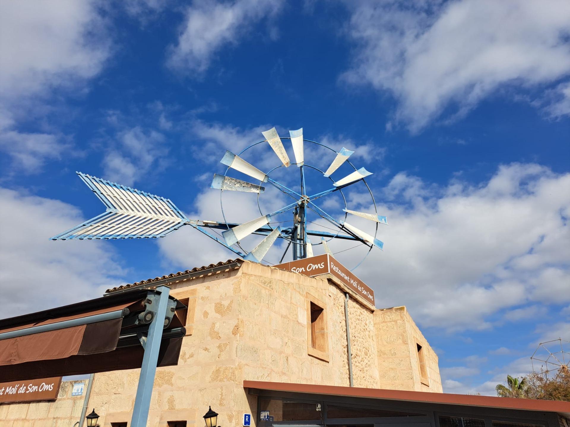 Negocios-Venta-Palma de Mallorca-1640237-Foto-4