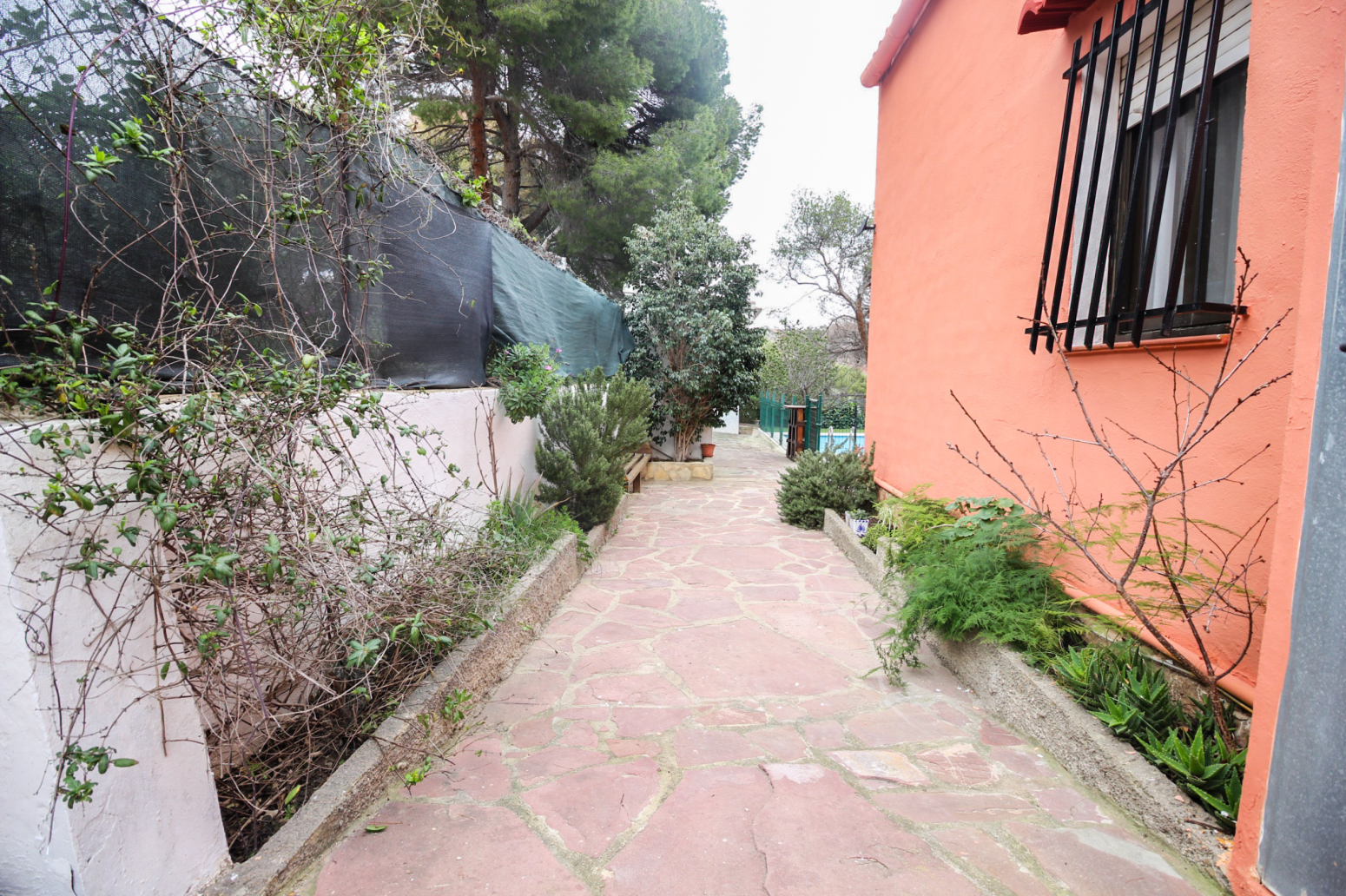 Casas o chalets-Venta-Albalat dels Tarongers-1709953-Foto-21
