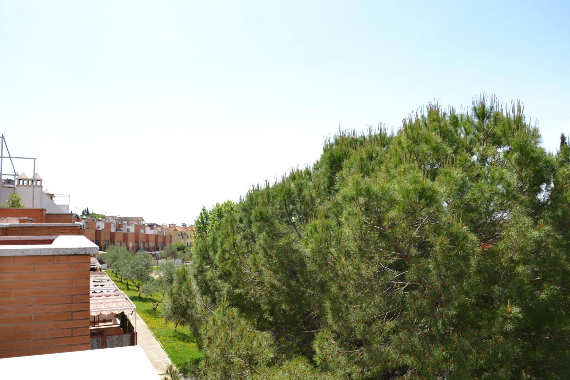 Casas o chalets-Venta-Bormujos-1721194-Foto-45