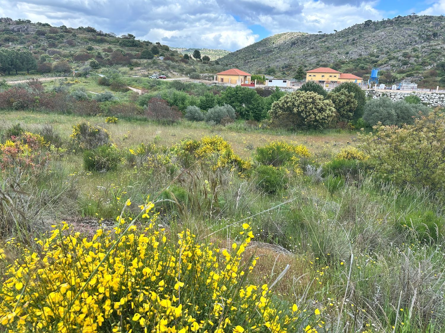 Fincas y solares-Venta-El Hoyo de Pinares-1722360-Foto-17
