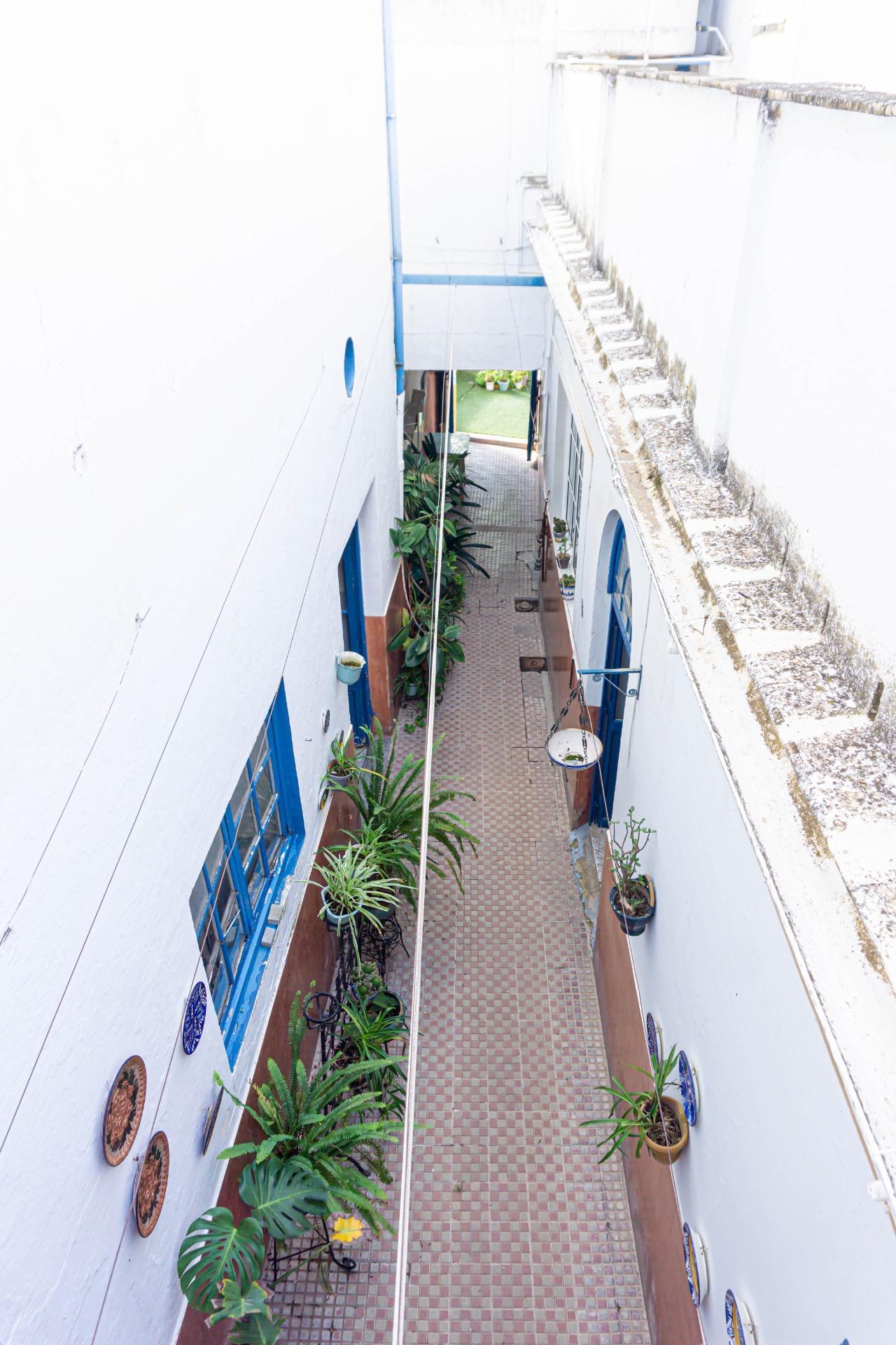 Casas o chalets-Venta-Montellano-1476726-Foto-33