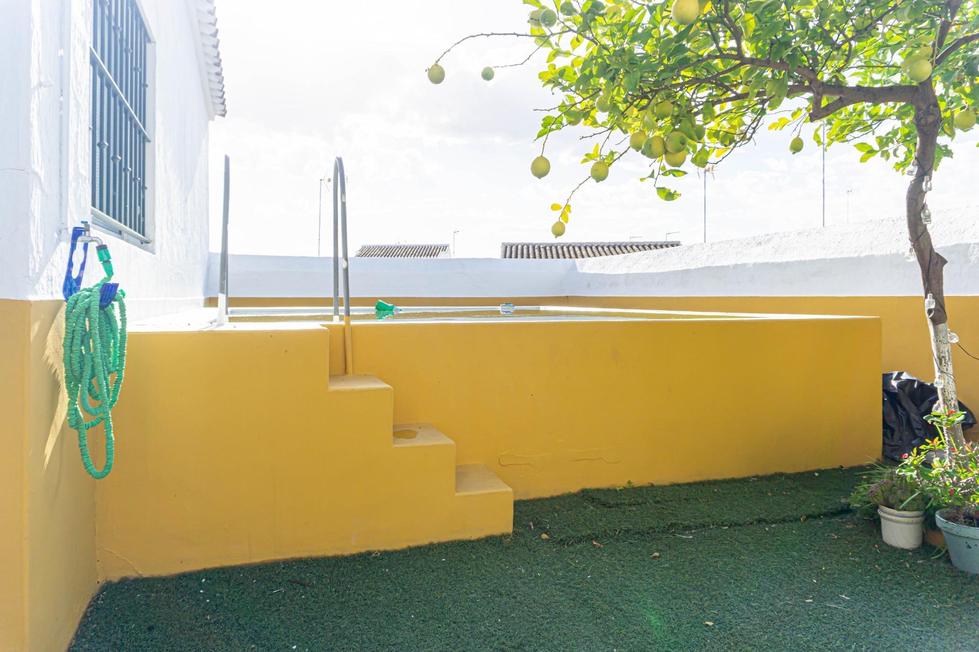 Casas o chalets-Venta-Montellano-1476726-Foto-57