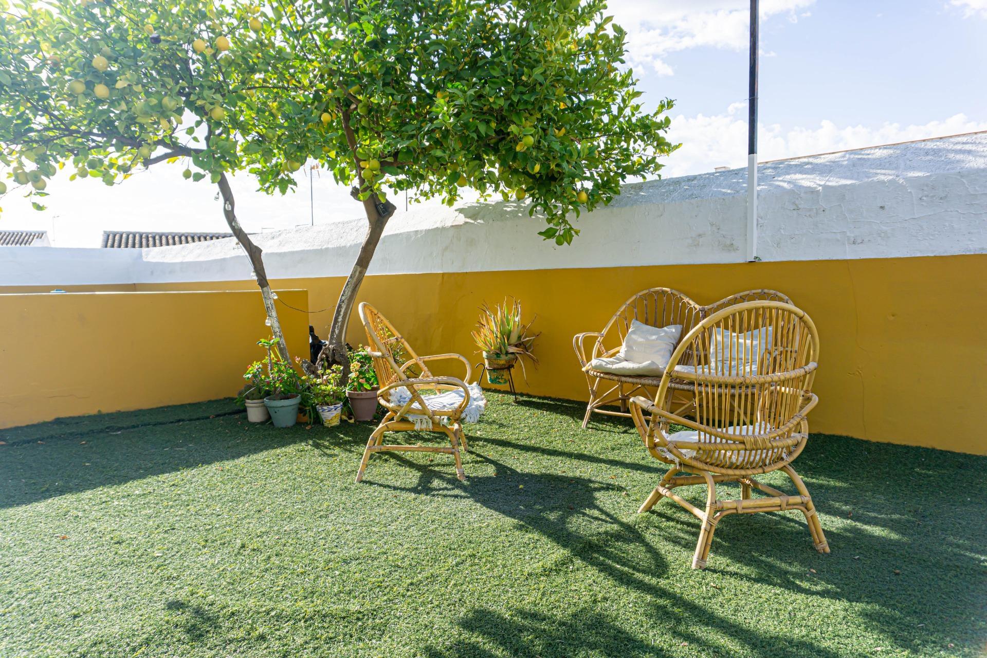 Casas o chalets-Venta-Montellano-1476726-Foto-61