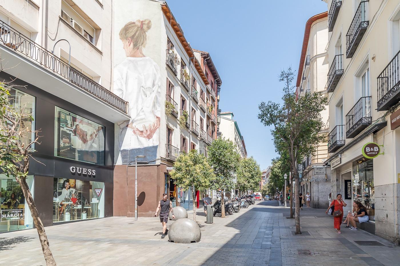 Pisos-Venta-Madrid-1707816-Foto-40