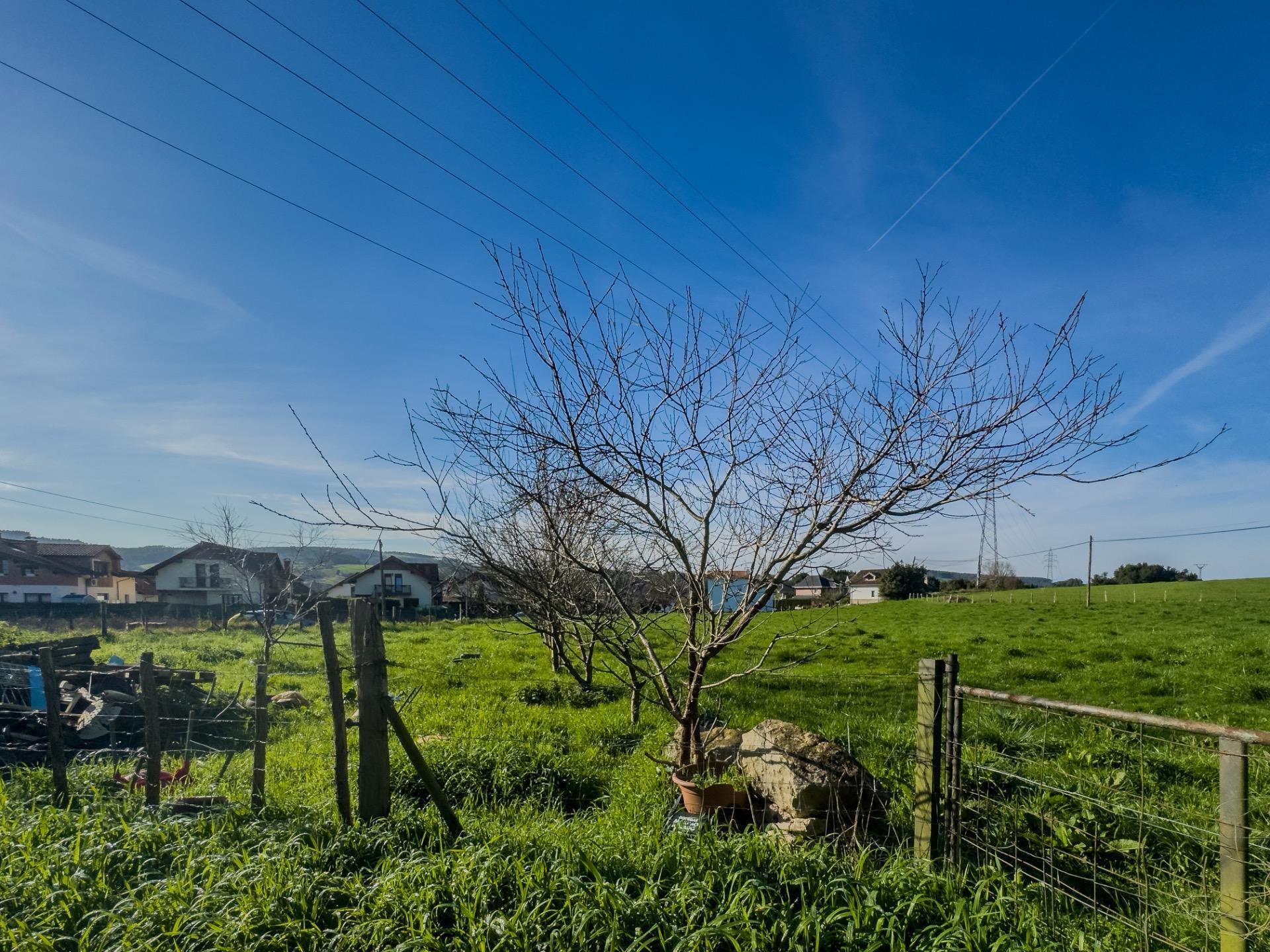 Fincas y solares-Venta-PiÃ©lagos-1652937-Foto-8