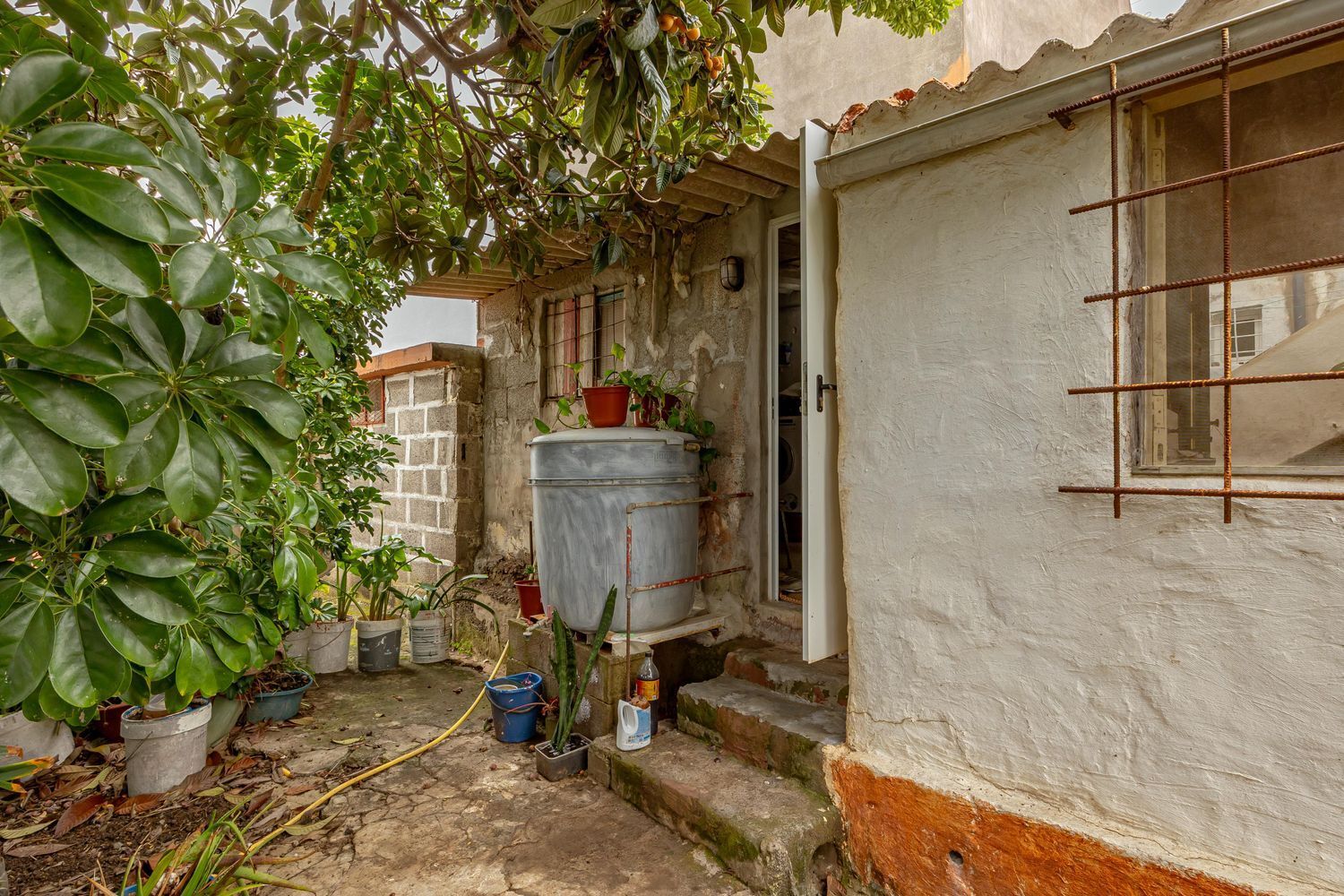 Casas o chalets-Venta-Moya-1700026-Foto-33