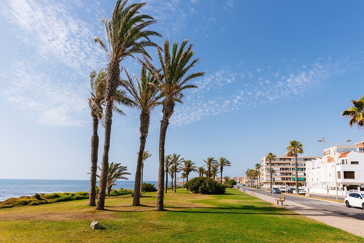 Casas o chalets-Venta-Torrevieja-1724681-Foto-30