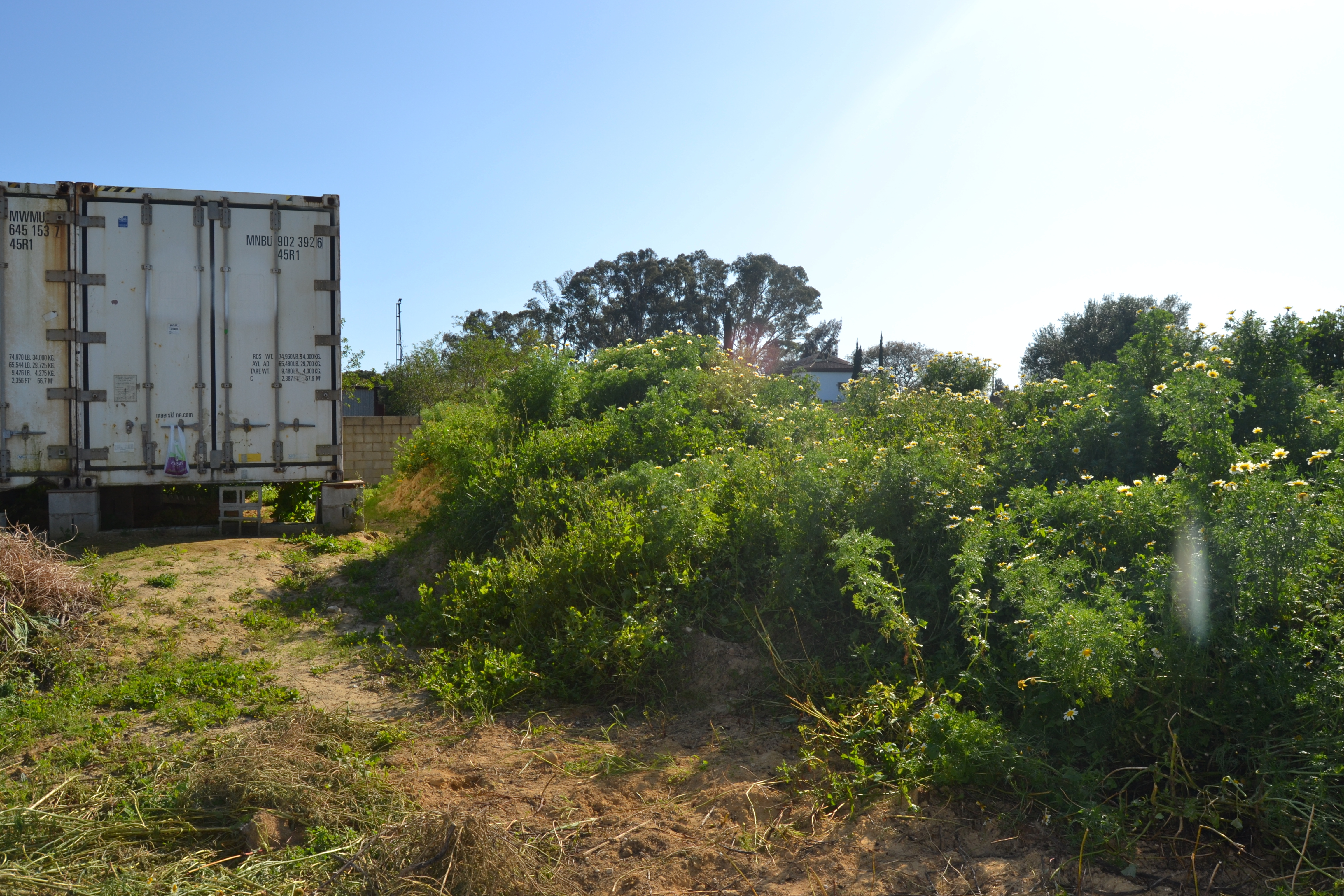 Fincas y solares-Venta-Chiclana de la Frontera-1717077-Foto-10