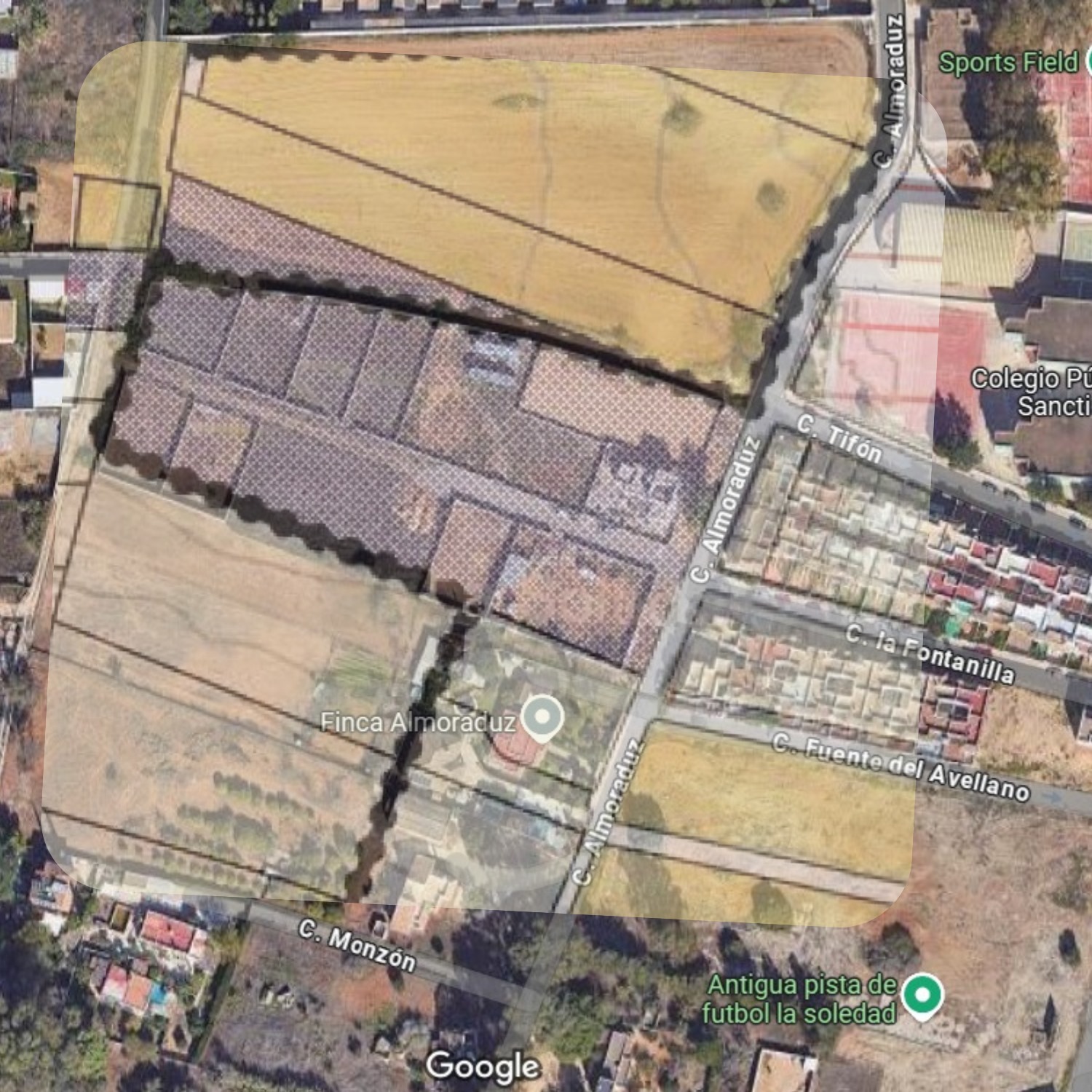 Fincas y solares-Venta-Chiclana de la Frontera-1717077-Foto-15