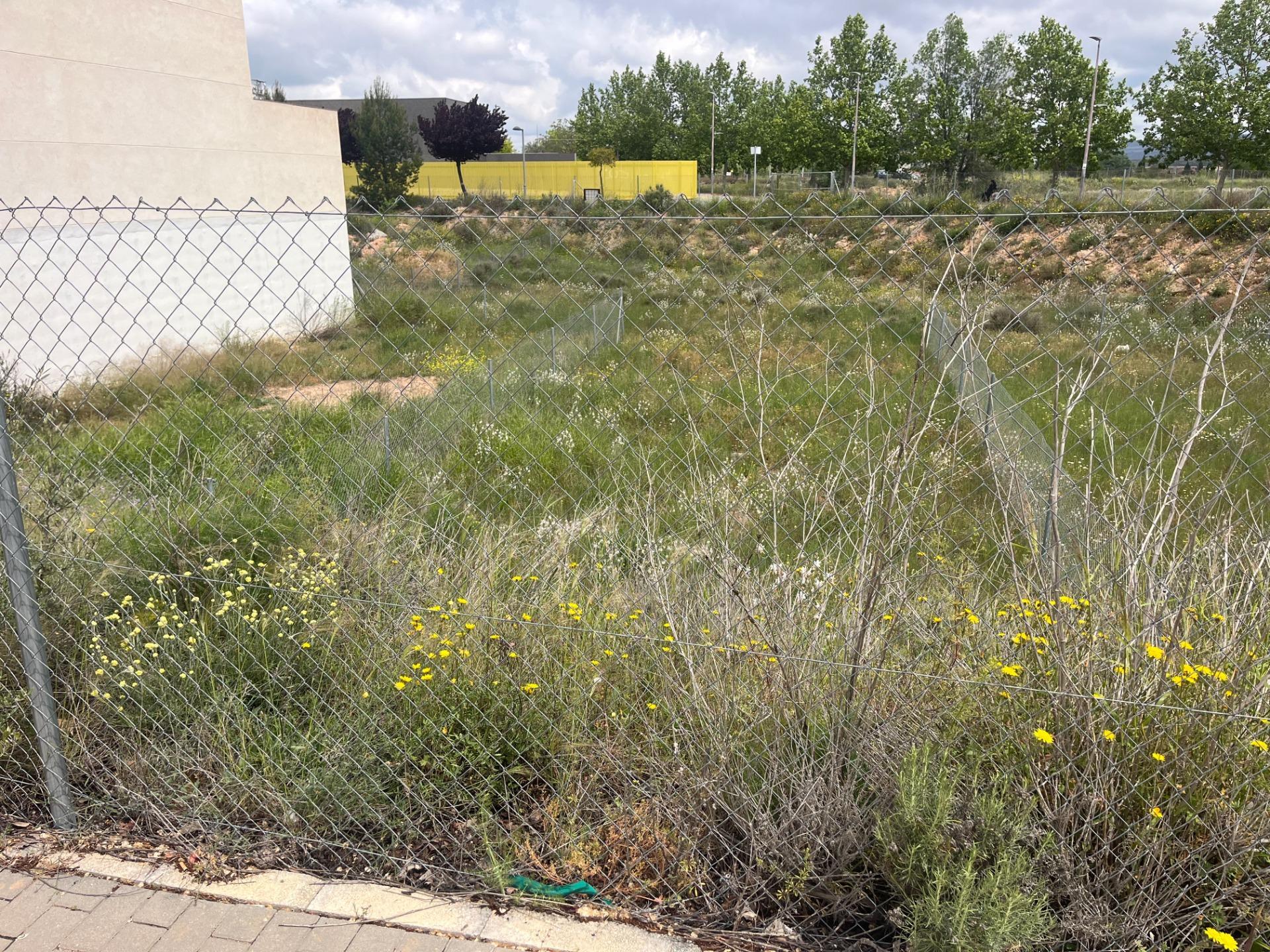 Fincas y solares-Venta-Almansa-1765673-Foto-3