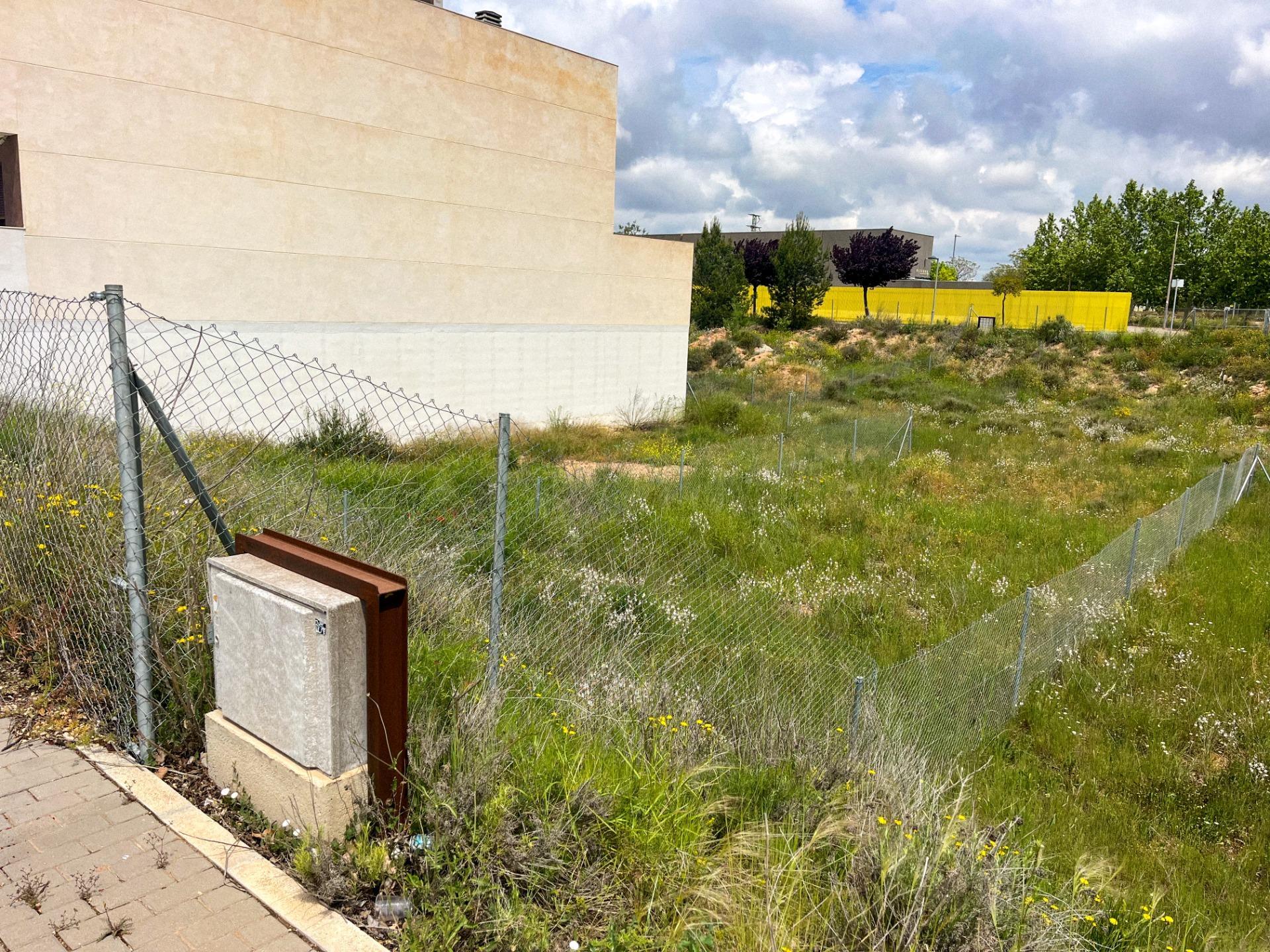 Fincas y solares-Venta-Almansa-1765673-Foto-5