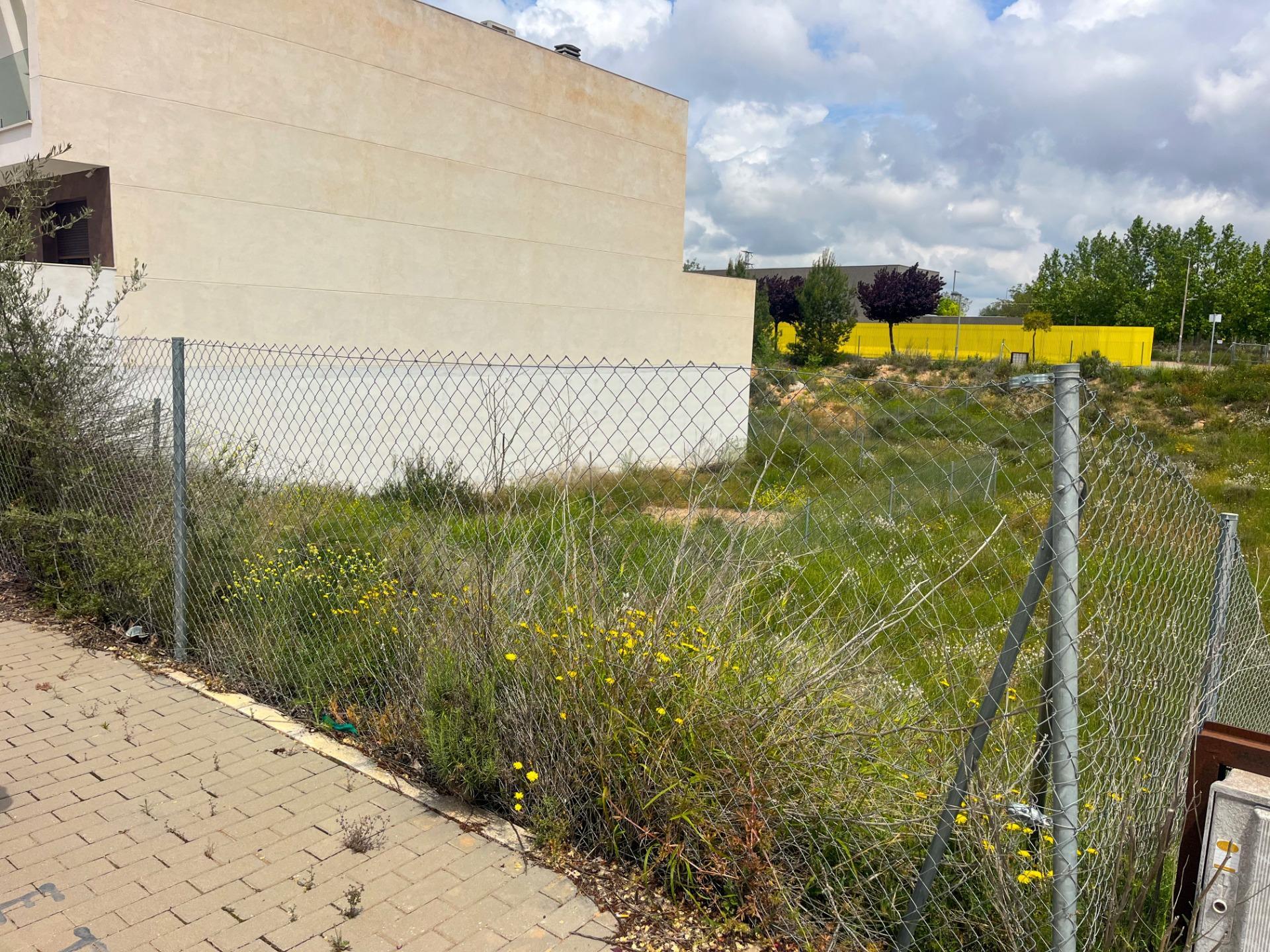 Fincas y solares-Venta-Almansa-1765673-Foto-4