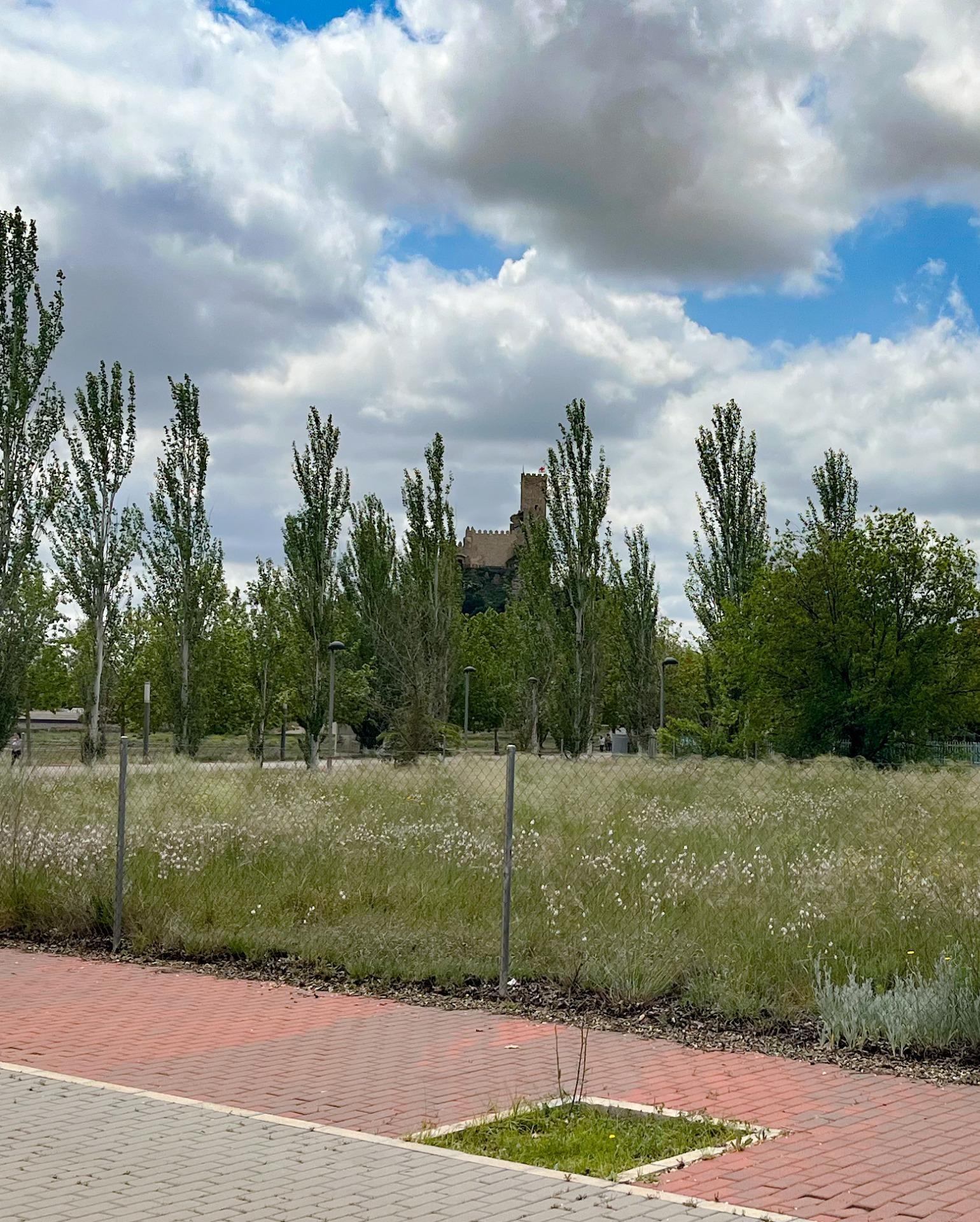 Fincas y solares-Venta-Almansa-1765673-Foto-6