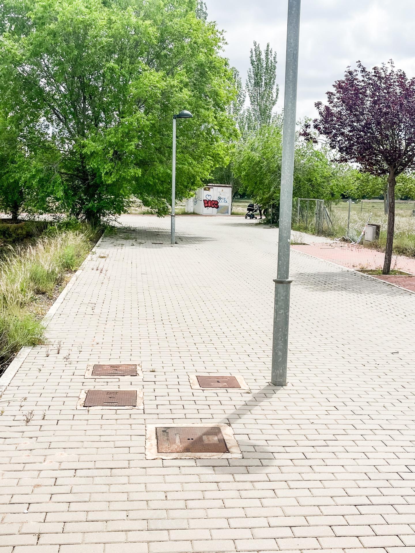 Fincas y solares-Venta-Almansa-1765673-Foto-9