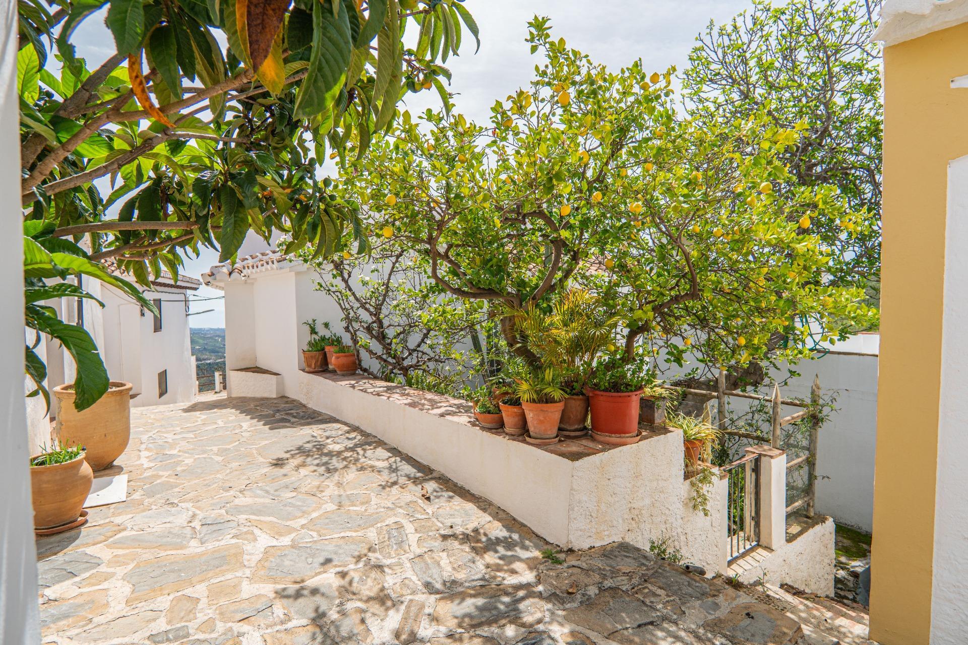 Casas o chalets-Venta-Macharaviaya-1102080-Foto-27