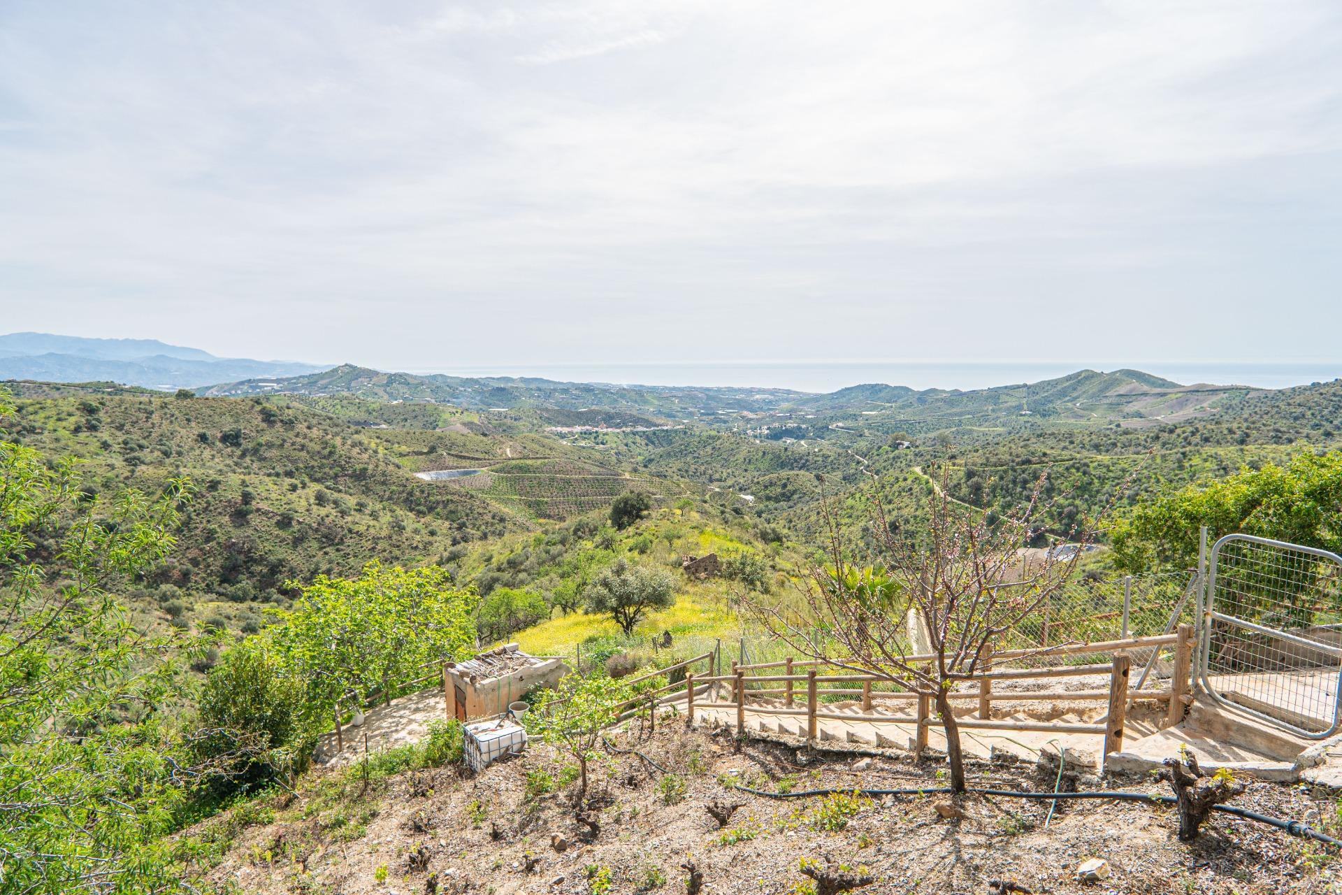 Casas o chalets-Venta-Macharaviaya-1102080-Foto-30