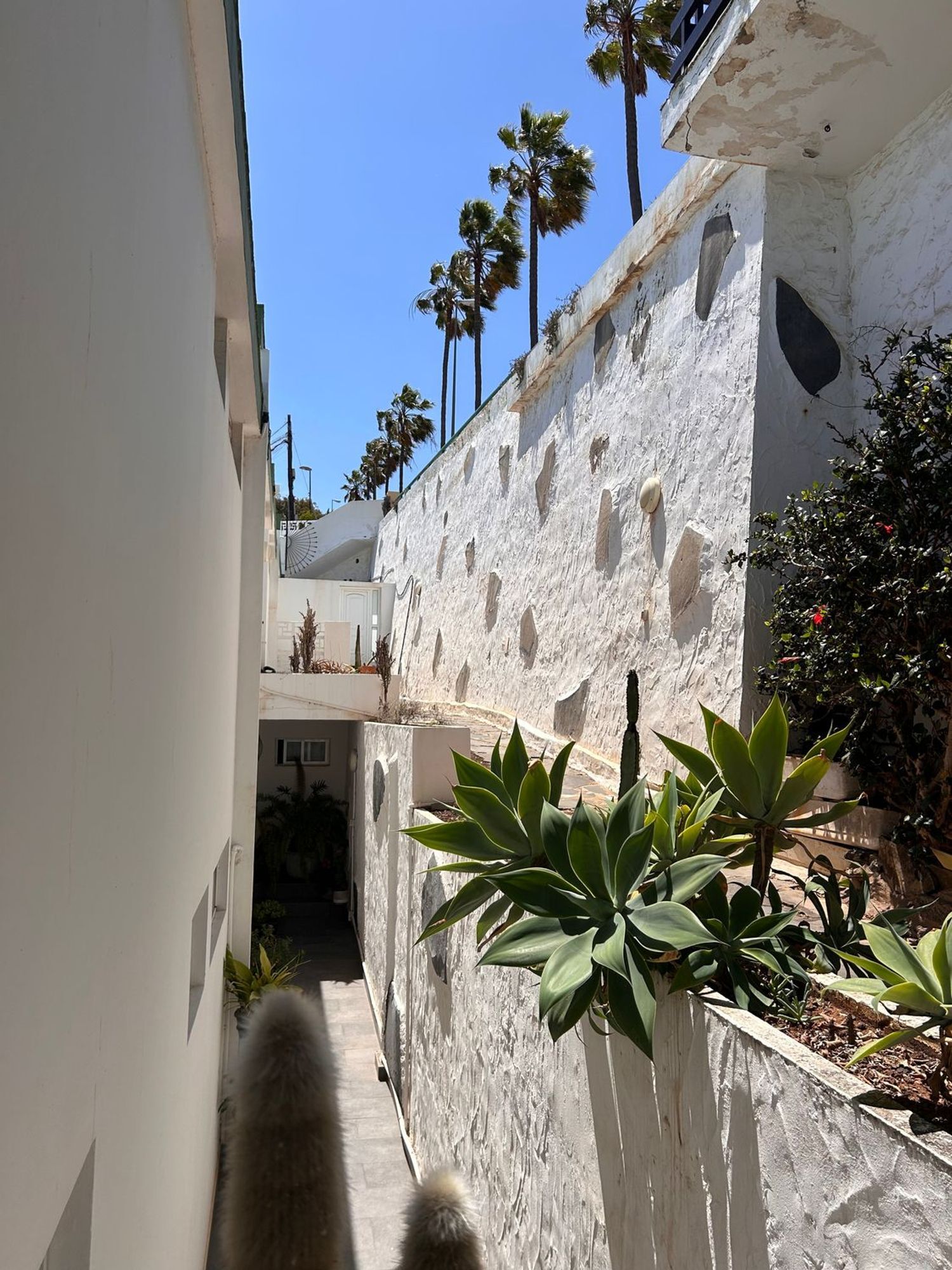 Casas o chalets-Venta-Las Palmas de Gran Canaria-1709427-Foto-19