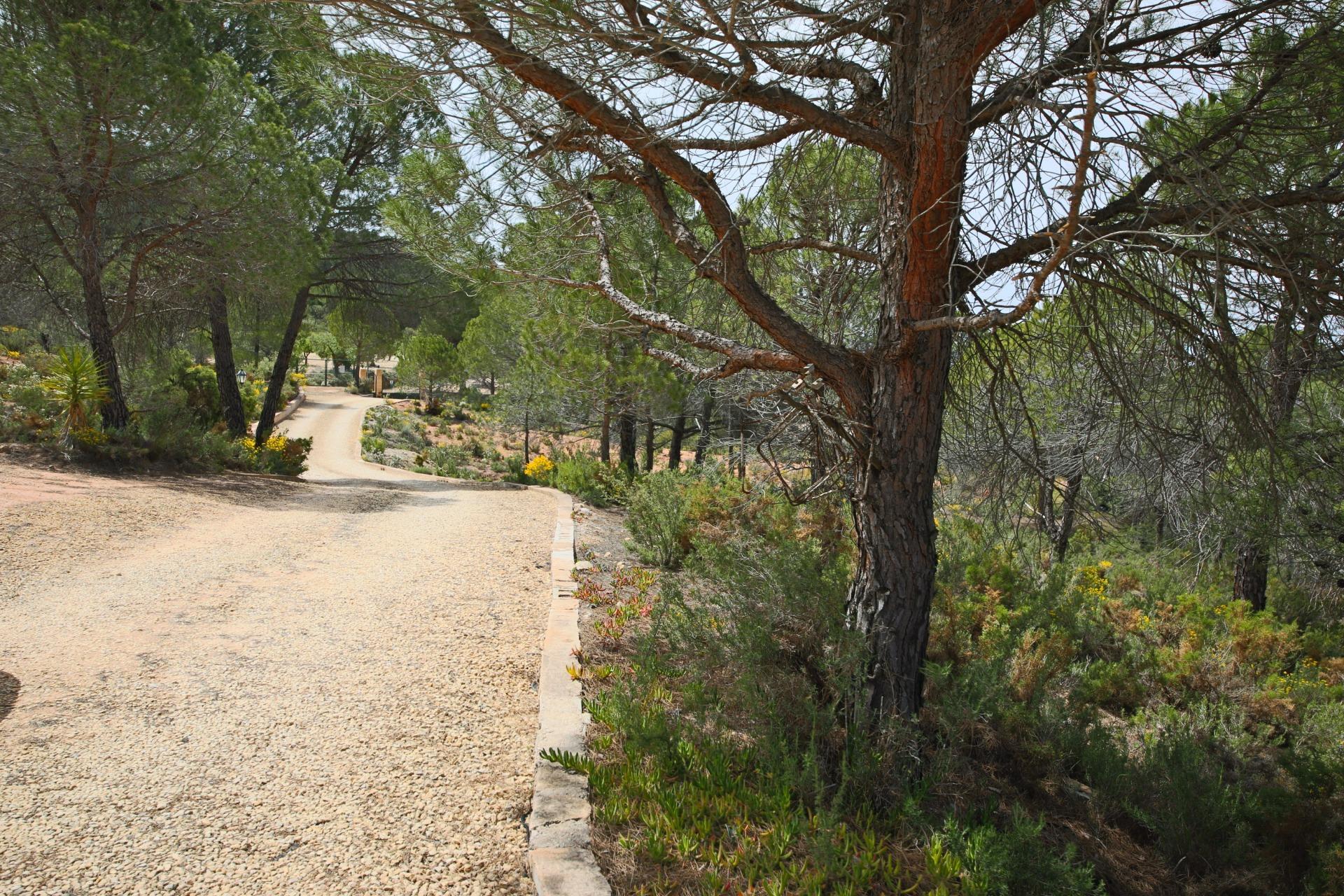 Casas o chalets-Venta-Biar-1721717-Foto-64