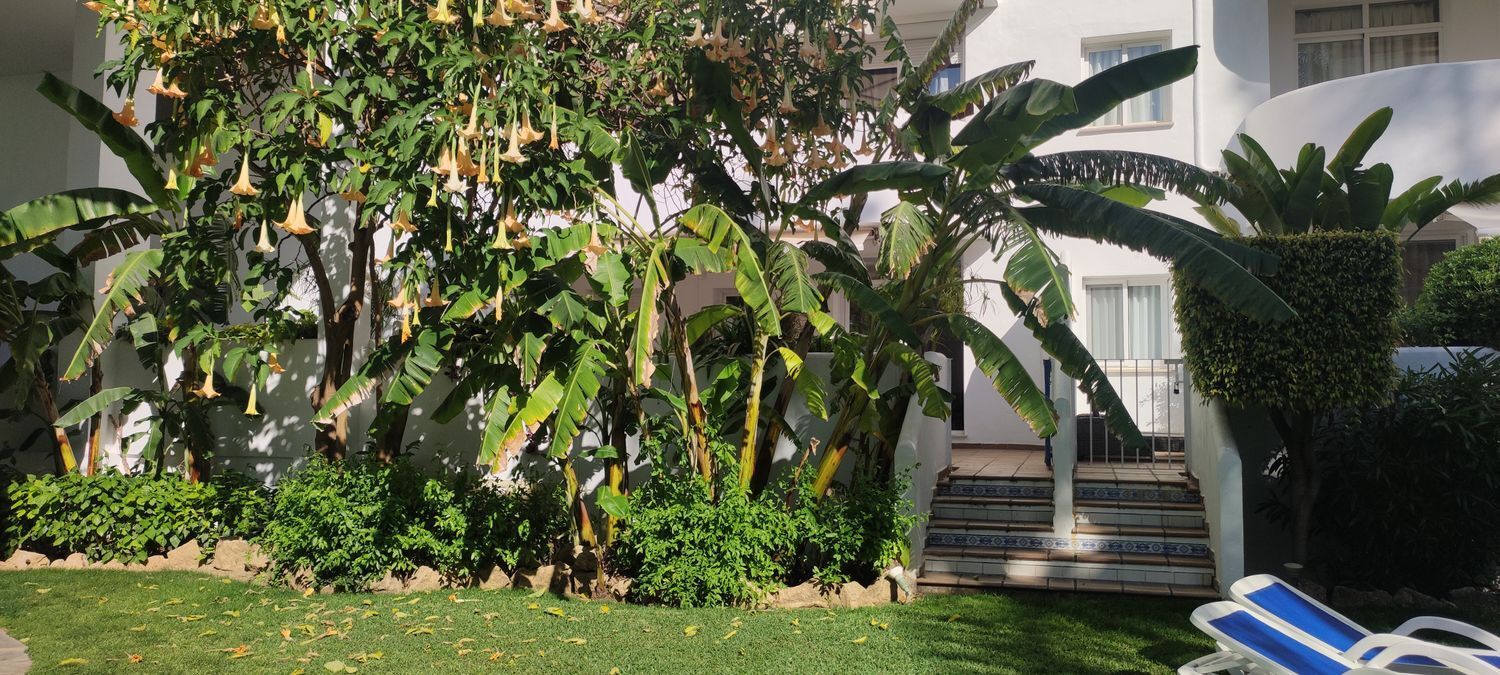 Pisos-Venta-Marbella-1723774-Foto-31