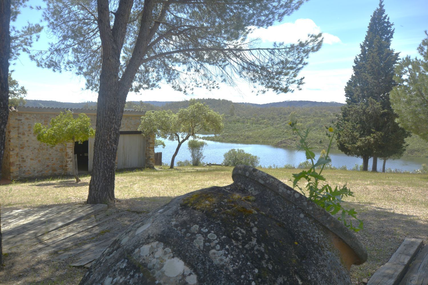 Fincas y solares-Venta-1719271