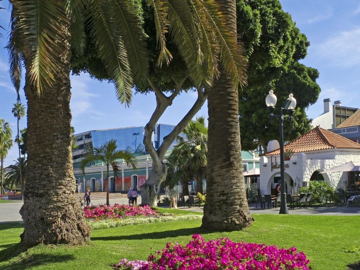 Casas o chalets-Venta-Las Palmas de Gran Canaria-1727006-Foto-6