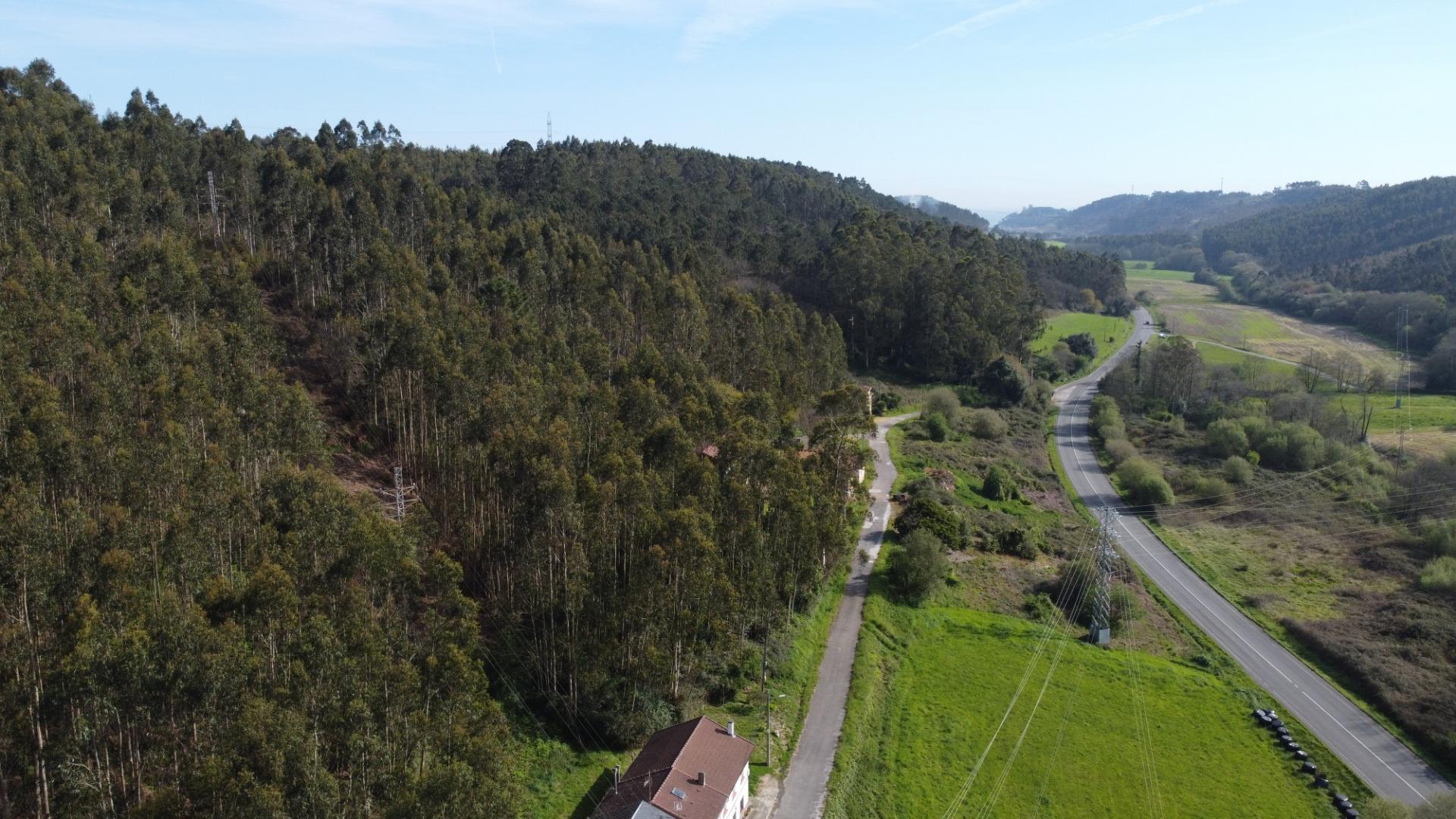 Fincas y solares-Venta-CarreÃ±o-1711224-Foto-8