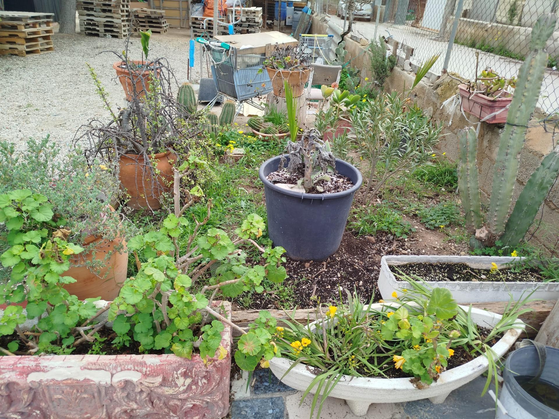 Pisos-Venta-Murcia-1658825-Foto-32